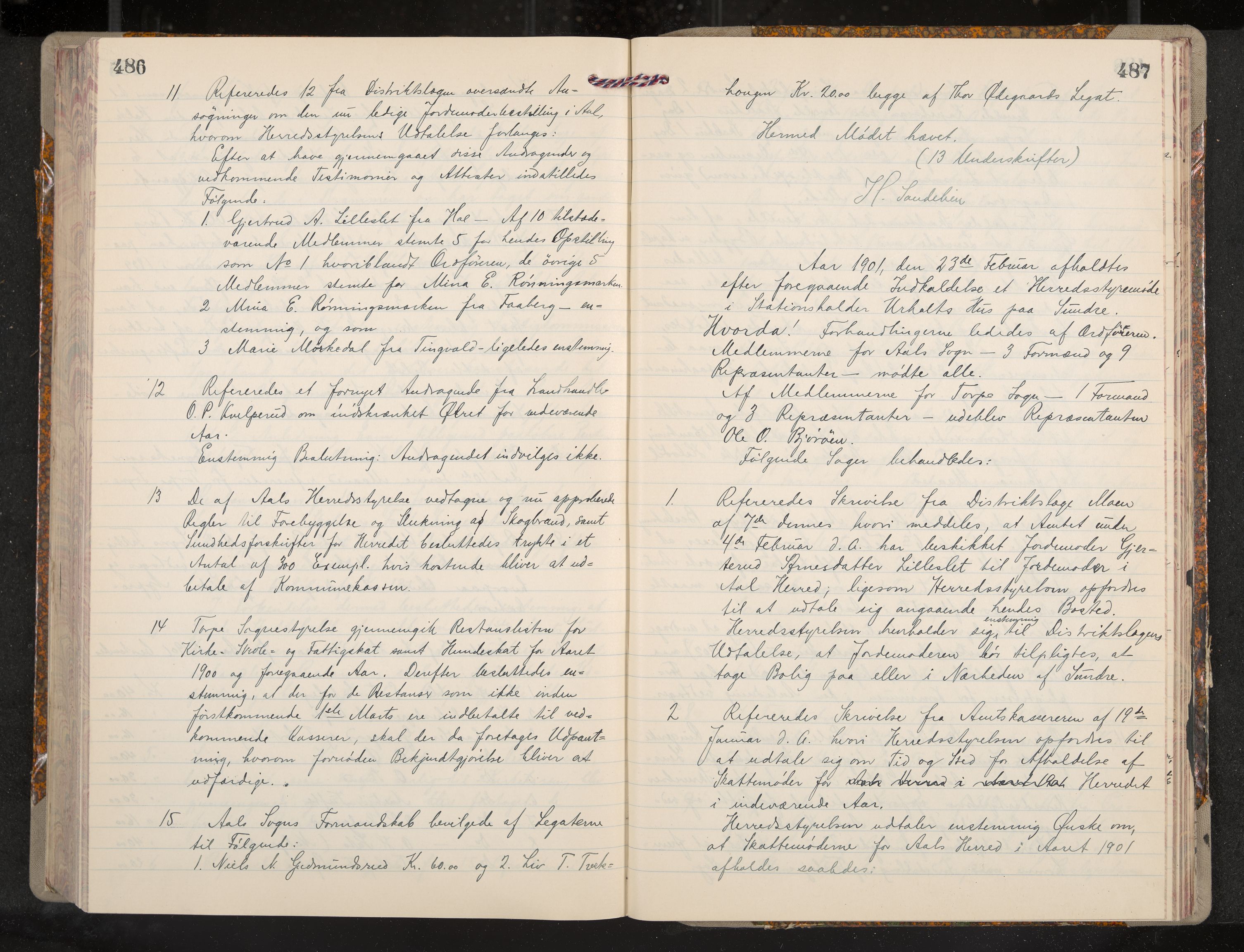 Ål formannskap og sentraladministrasjon, IKAK/0619021/A/Aa/L0004: Utskrift av møtebok, 1881-1901, p. 486-487