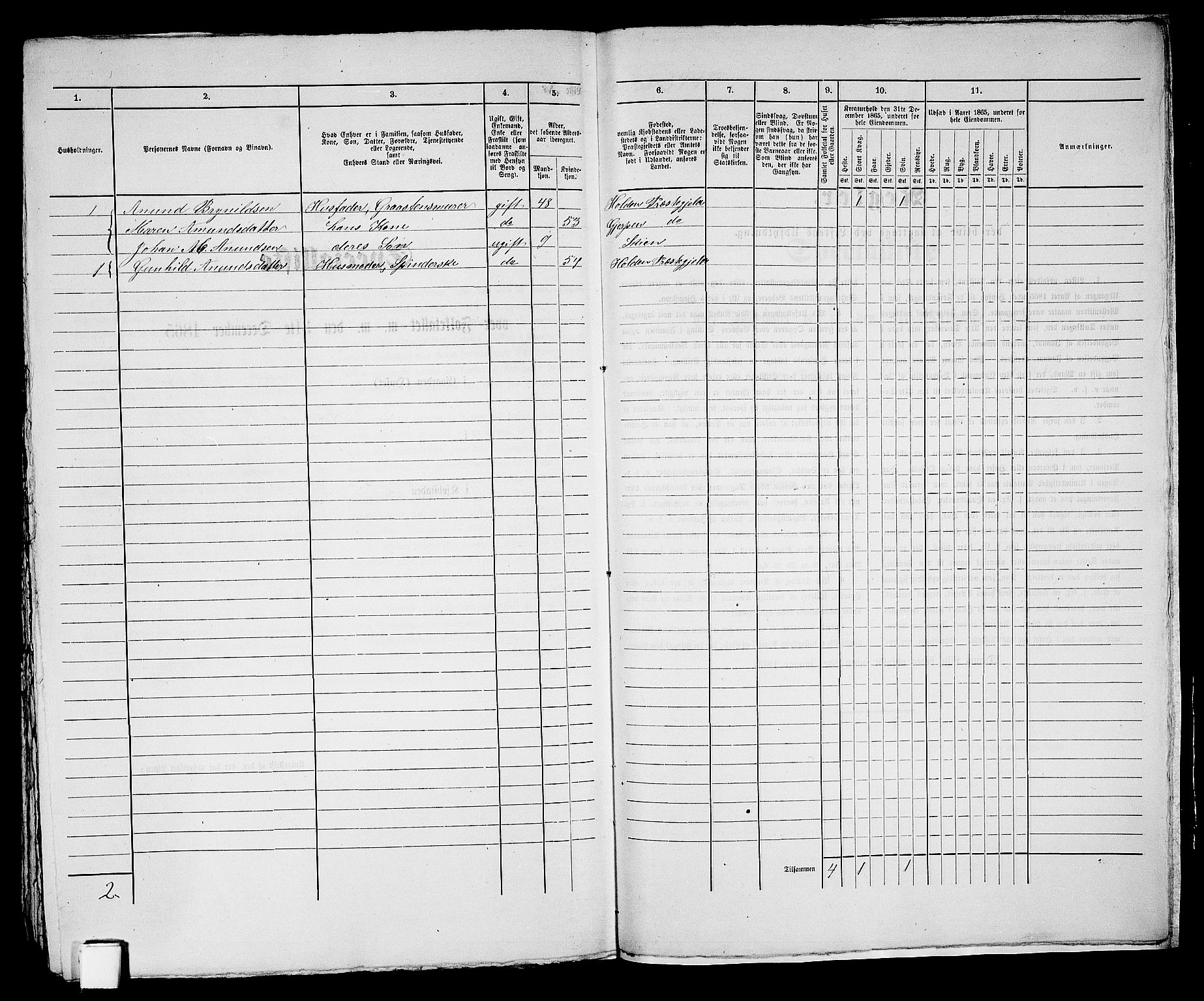RA, 1865 census for Skien, 1865, p. 816
