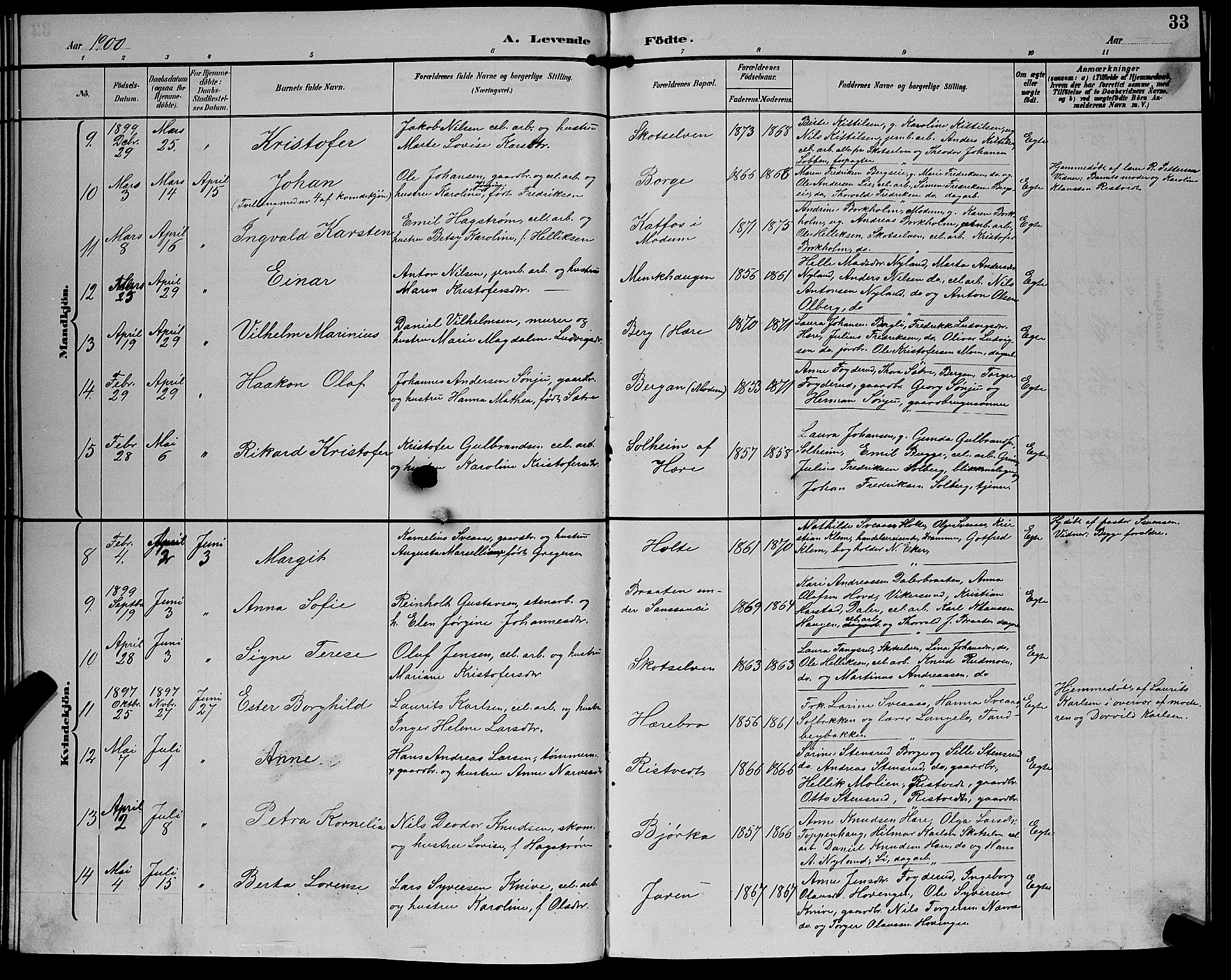 Eiker kirkebøker, SAKO/A-4/G/Gb/L0004: Parish register (copy) no. II 4, 1894-1900, p. 33