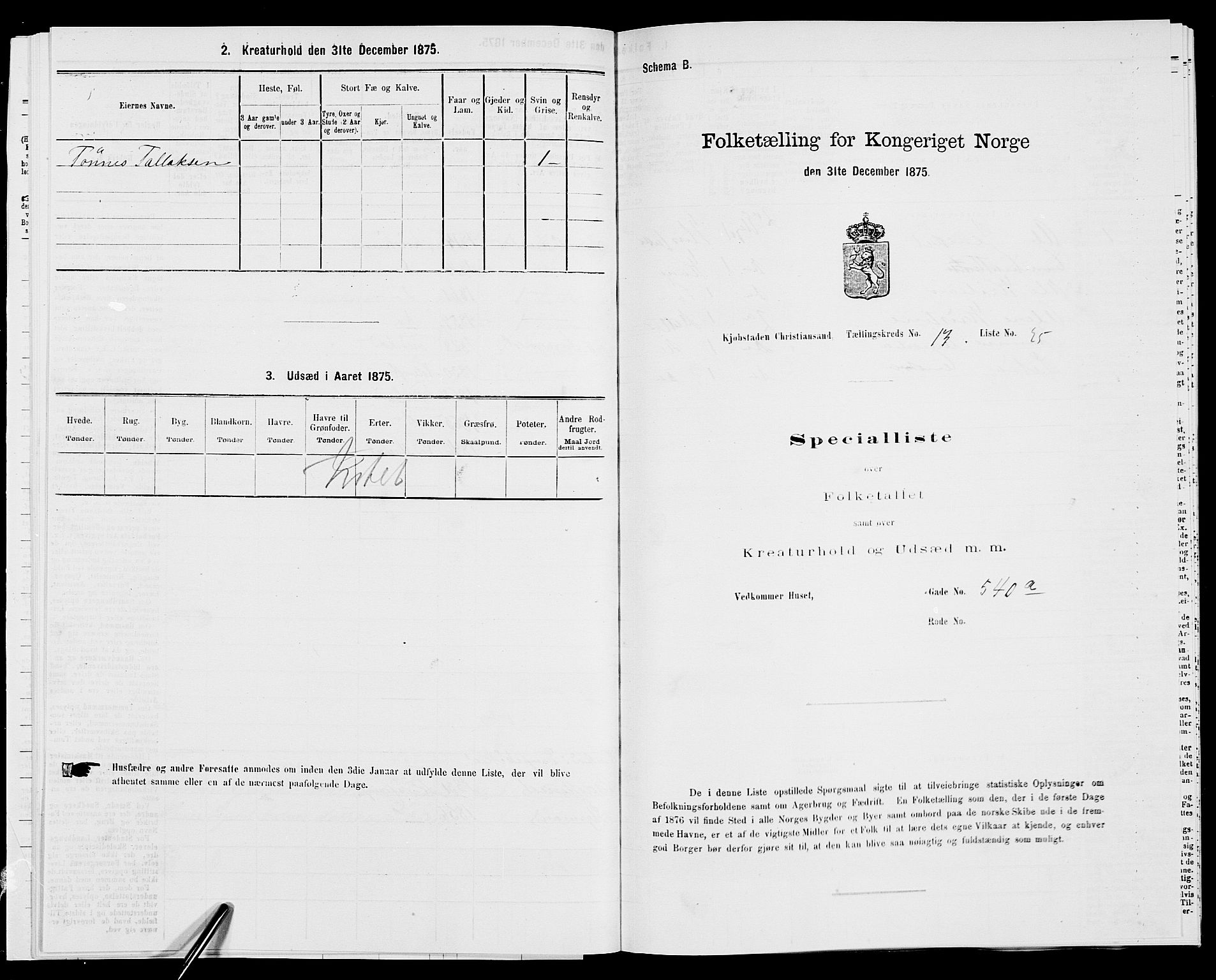 SAK, 1875 census for 1001P Kristiansand, 1875, p. 2061