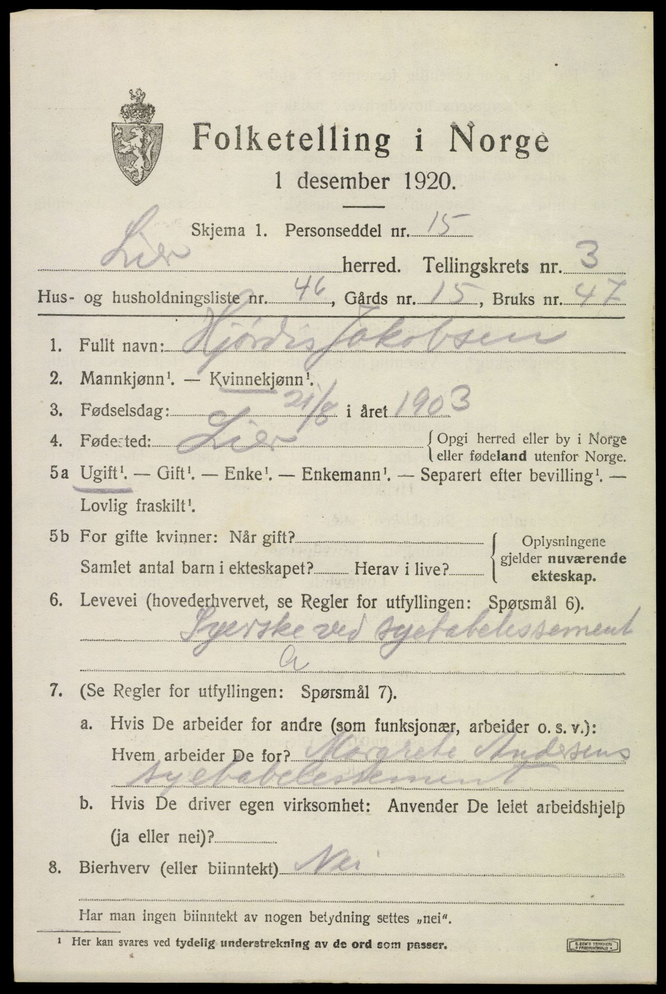 SAKO, 1920 census for Lier, 1920, p. 6980