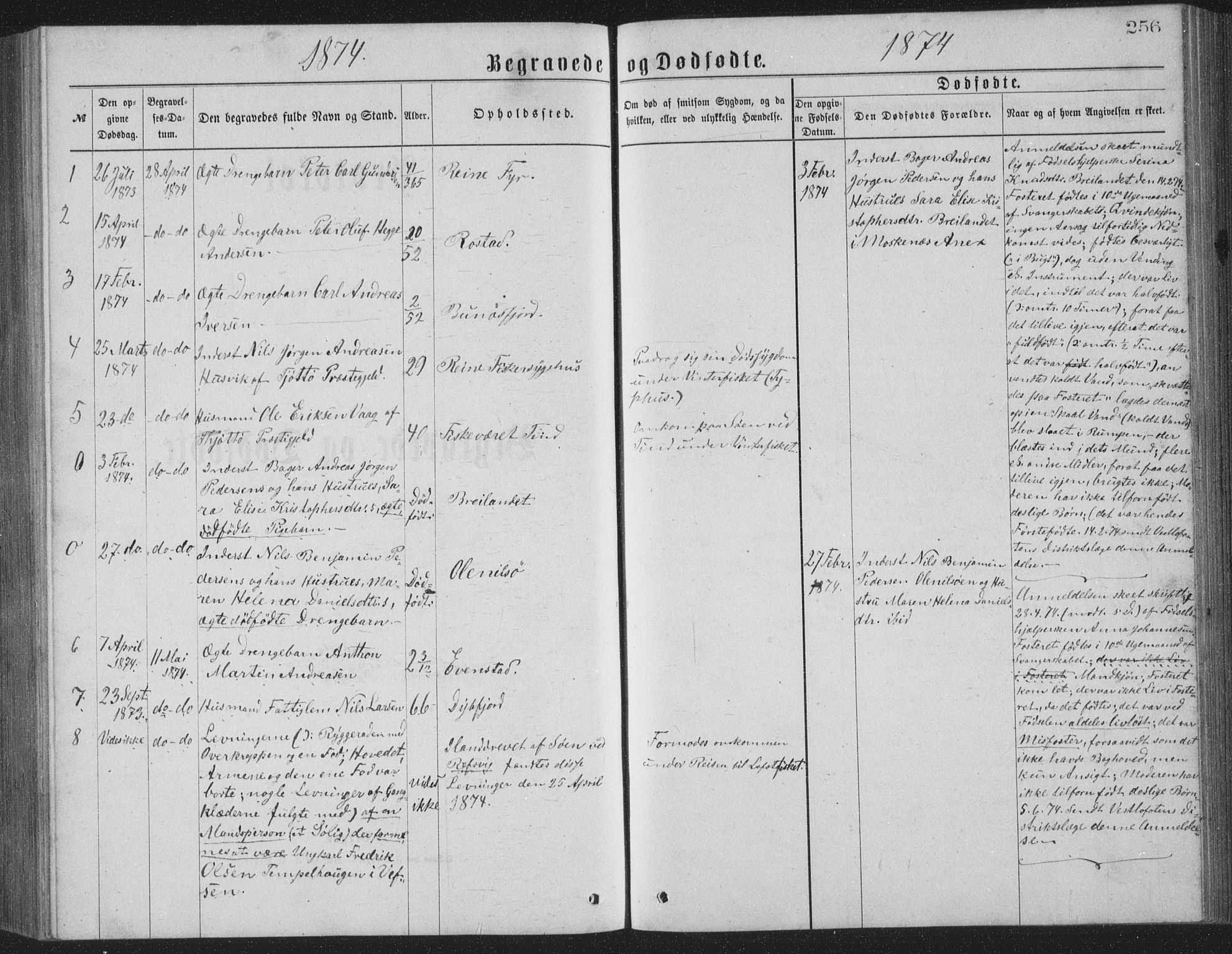 Ministerialprotokoller, klokkerbøker og fødselsregistre - Nordland, AV/SAT-A-1459/886/L1225: Parish register (copy) no. 886C02, 1874-1896, p. 256