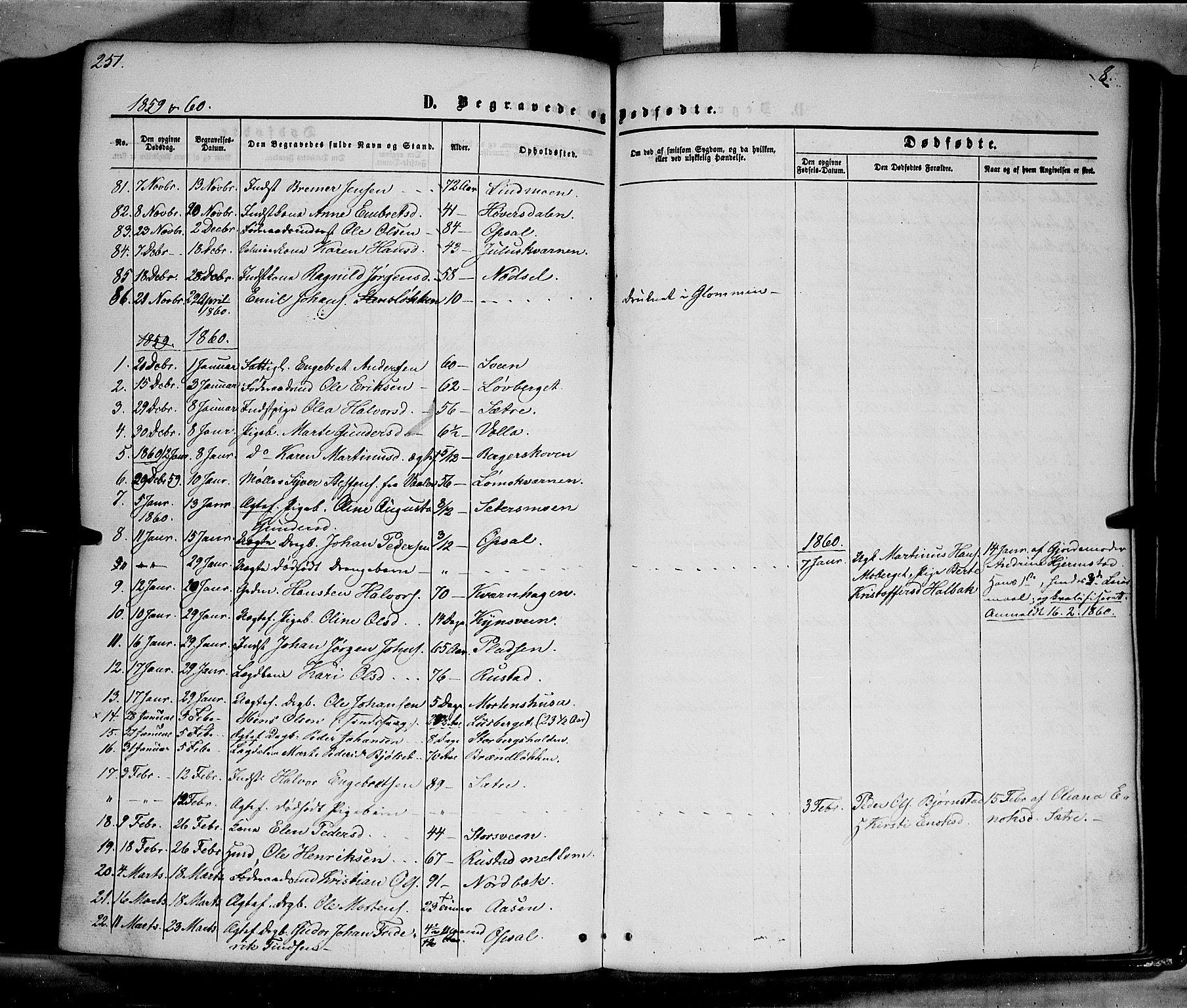 Elverum prestekontor, AV/SAH-PREST-044/H/Ha/Haa/L0010: Parish register (official) no. 10, 1857-1868, p. 251