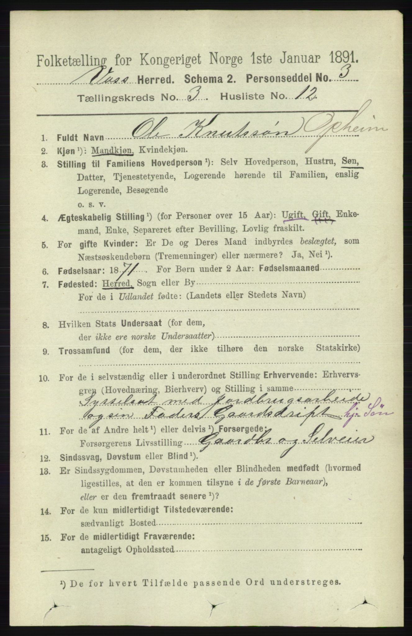 RA, 1891 census for 1235 Voss, 1891, p. 1265