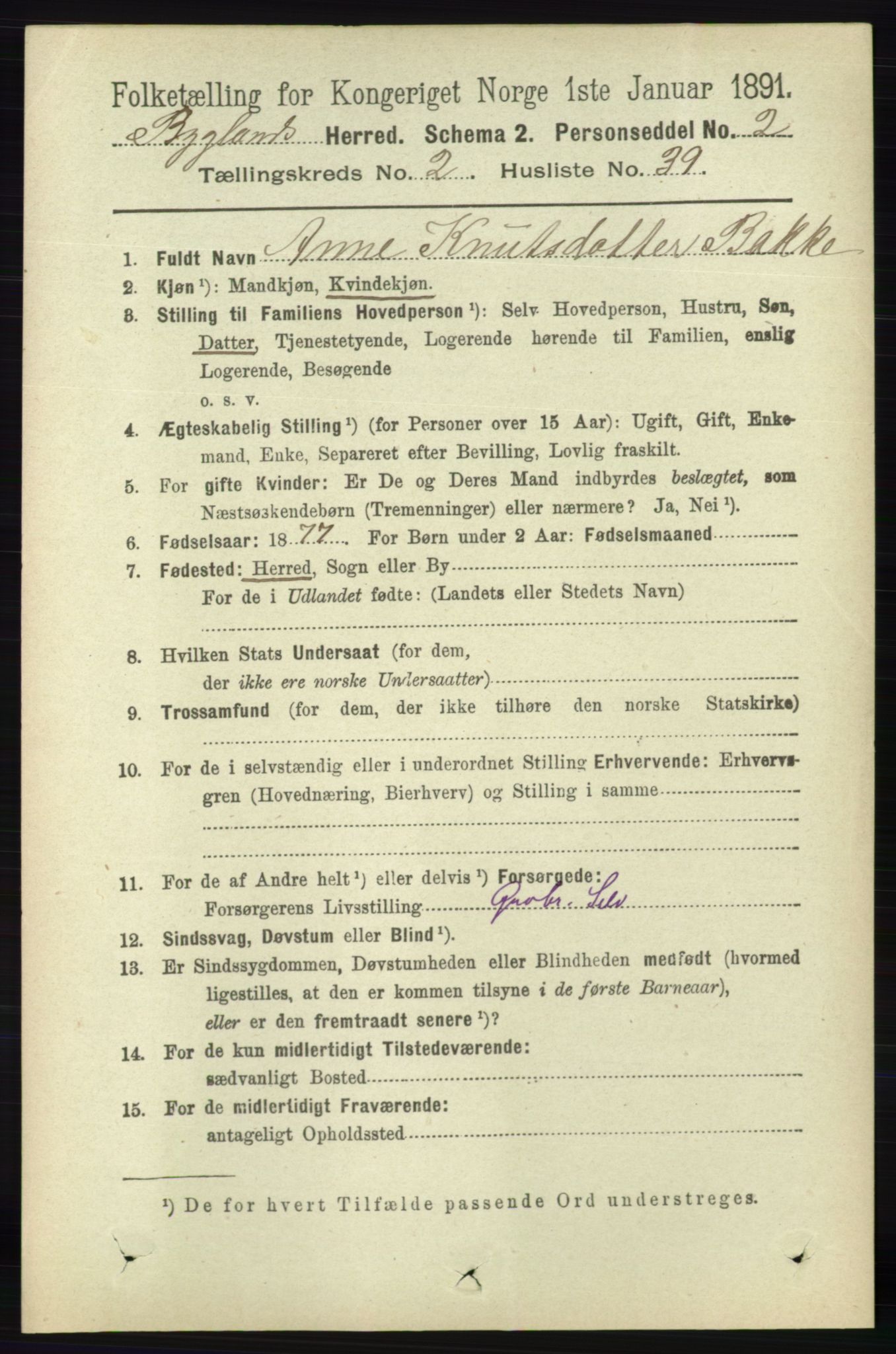 RA, 1891 census for 0938 Bygland, 1891, p. 516