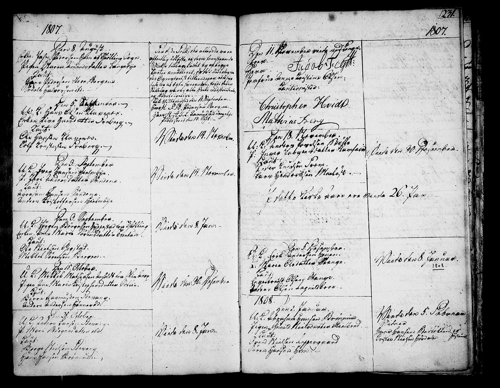 Sandar kirkebøker, SAKO/A-243/F/Fa/L0003: Parish register (official) no. 3, 1789-1814, p. 231