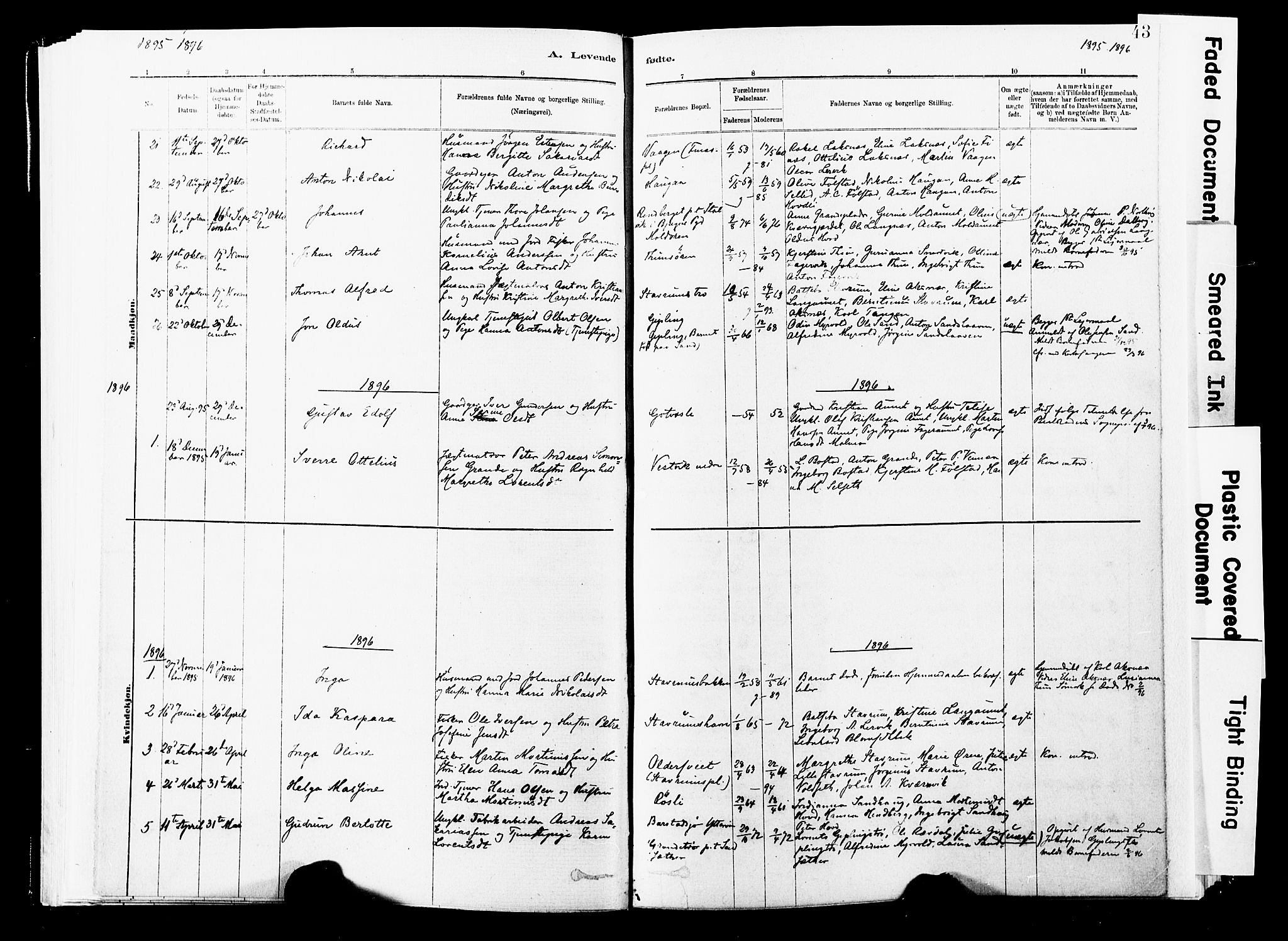 Ministerialprotokoller, klokkerbøker og fødselsregistre - Nord-Trøndelag, SAT/A-1458/744/L0420: Parish register (official) no. 744A04, 1882-1904, p. 43