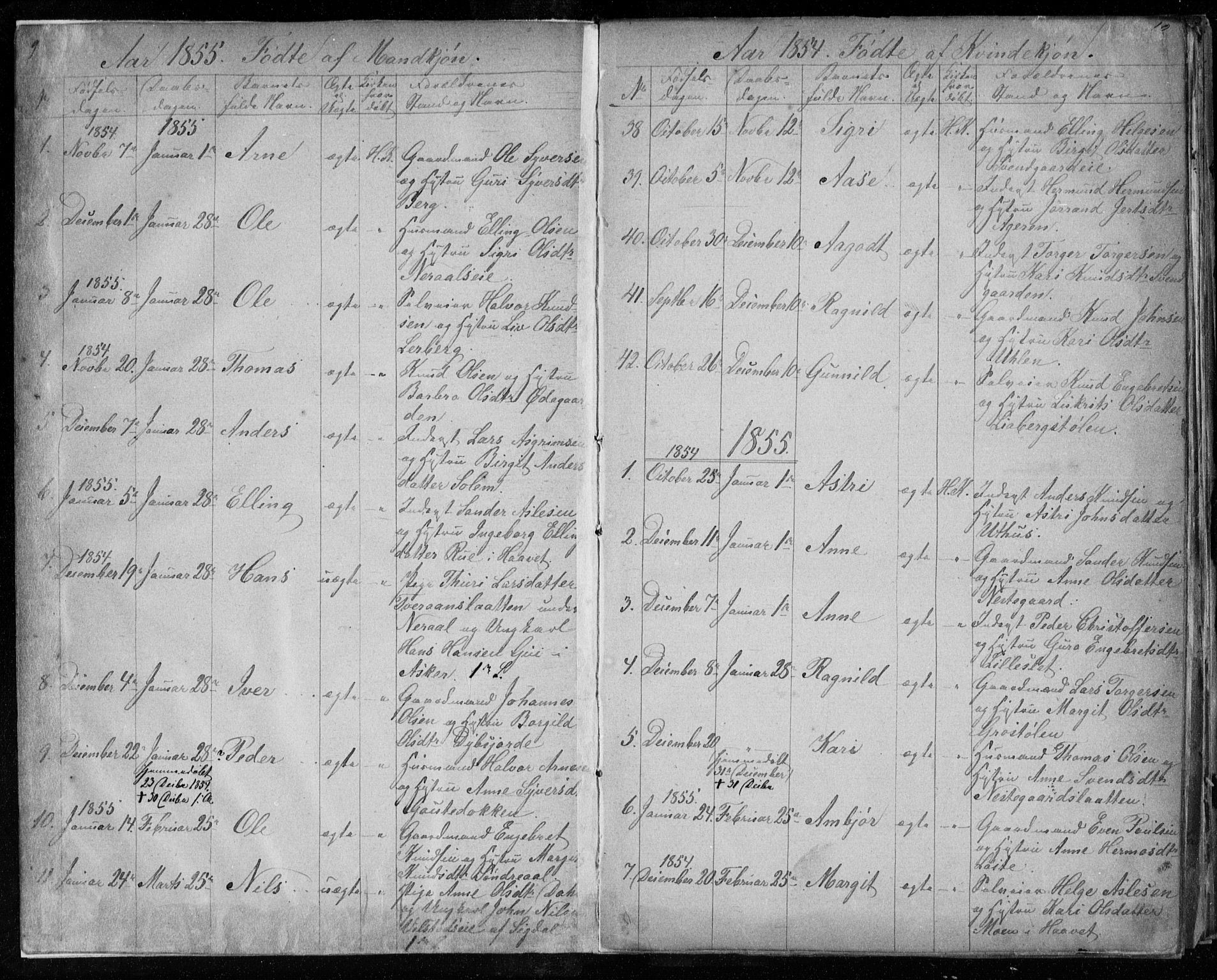 Hol kirkebøker, SAKO/A-227/F/Fa/L0001: Parish register (official) no. I 1, 1850-1870, p. 9-10