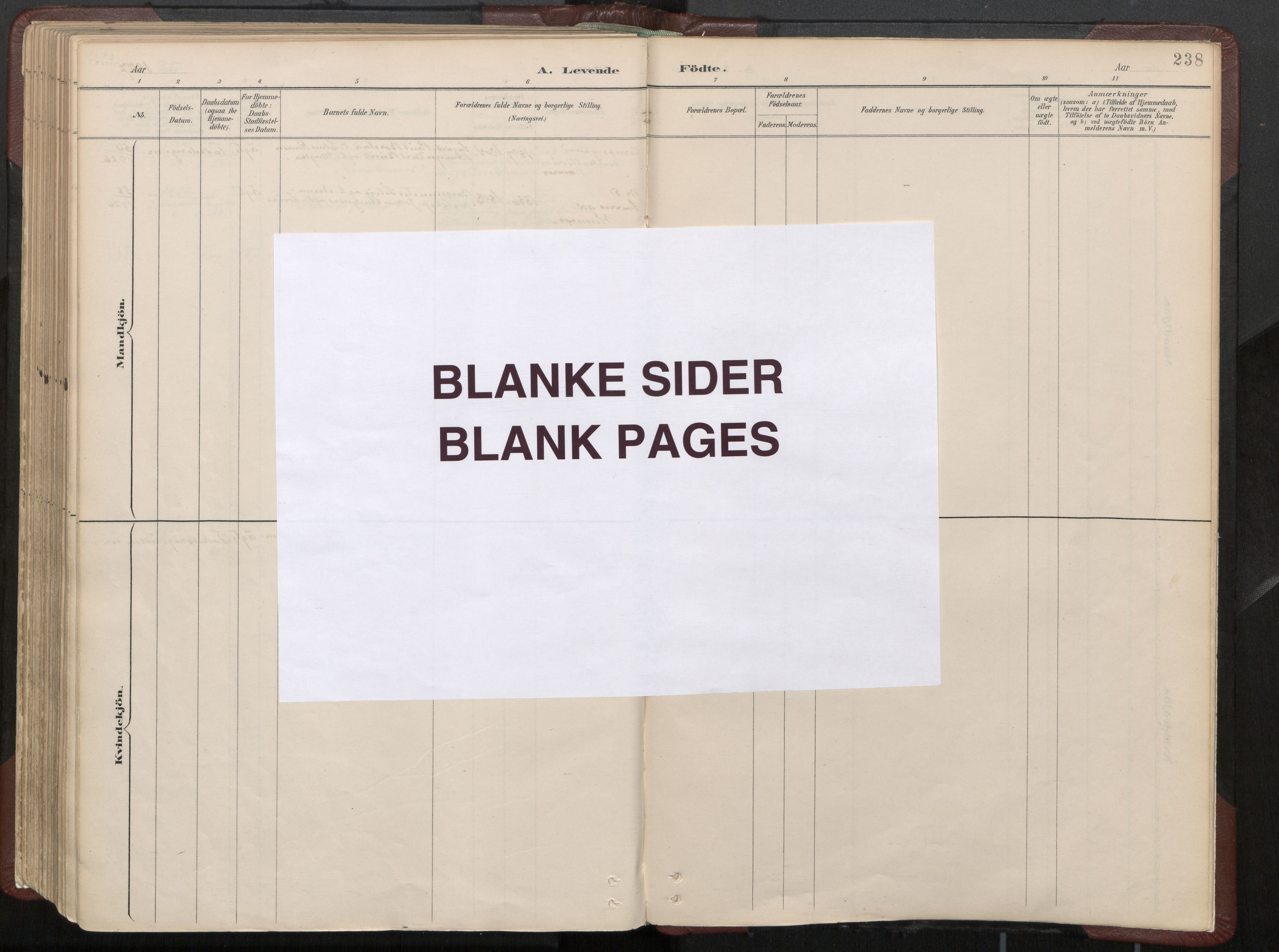 Ministerialprotokoller, klokkerbøker og fødselsregistre - Nord-Trøndelag, AV/SAT-A-1458/768/L0574: Parish register (official) no. 768A08, 1887-1927, p. 238