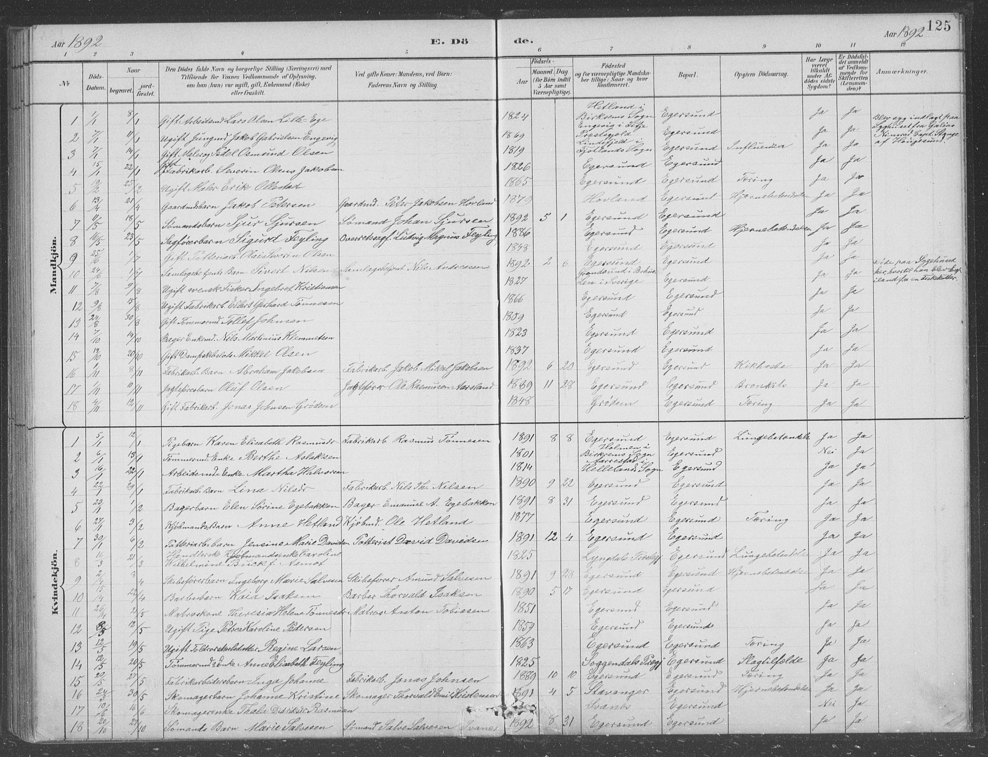Eigersund sokneprestkontor, SAST/A-101807/S09/L0008: Parish register (copy) no. B 8, 1882-1892, p. 125