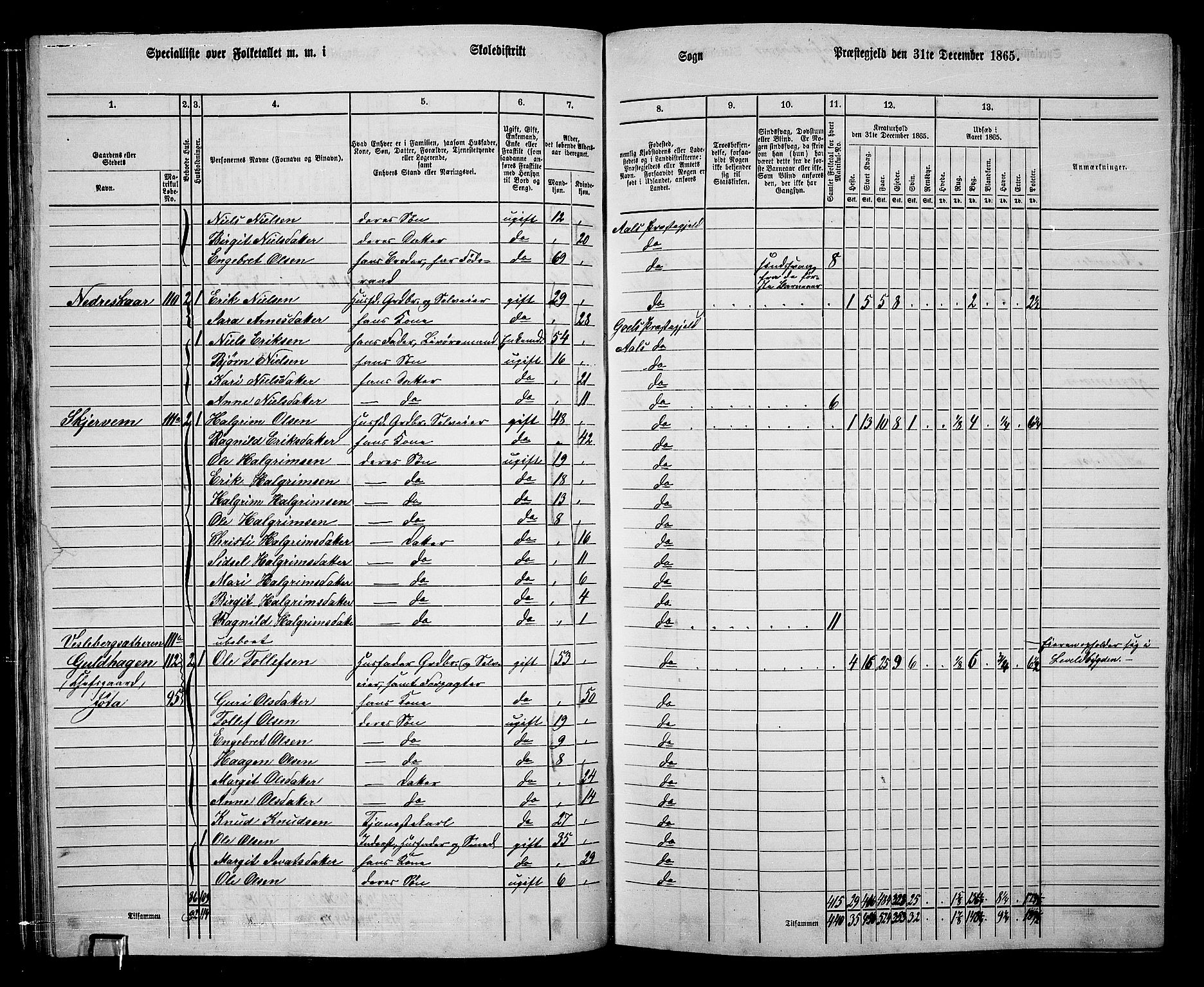 RA, 1865 census for Ål, 1865, p. 71