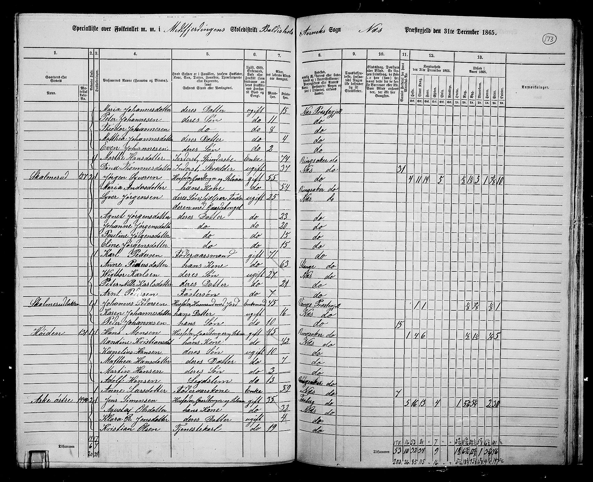RA, 1865 census for Nes, 1865, p. 149