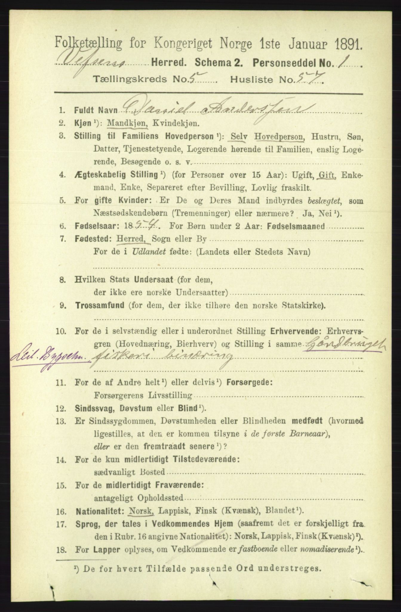 RA, 1891 census for 1824 Vefsn, 1891, p. 2517