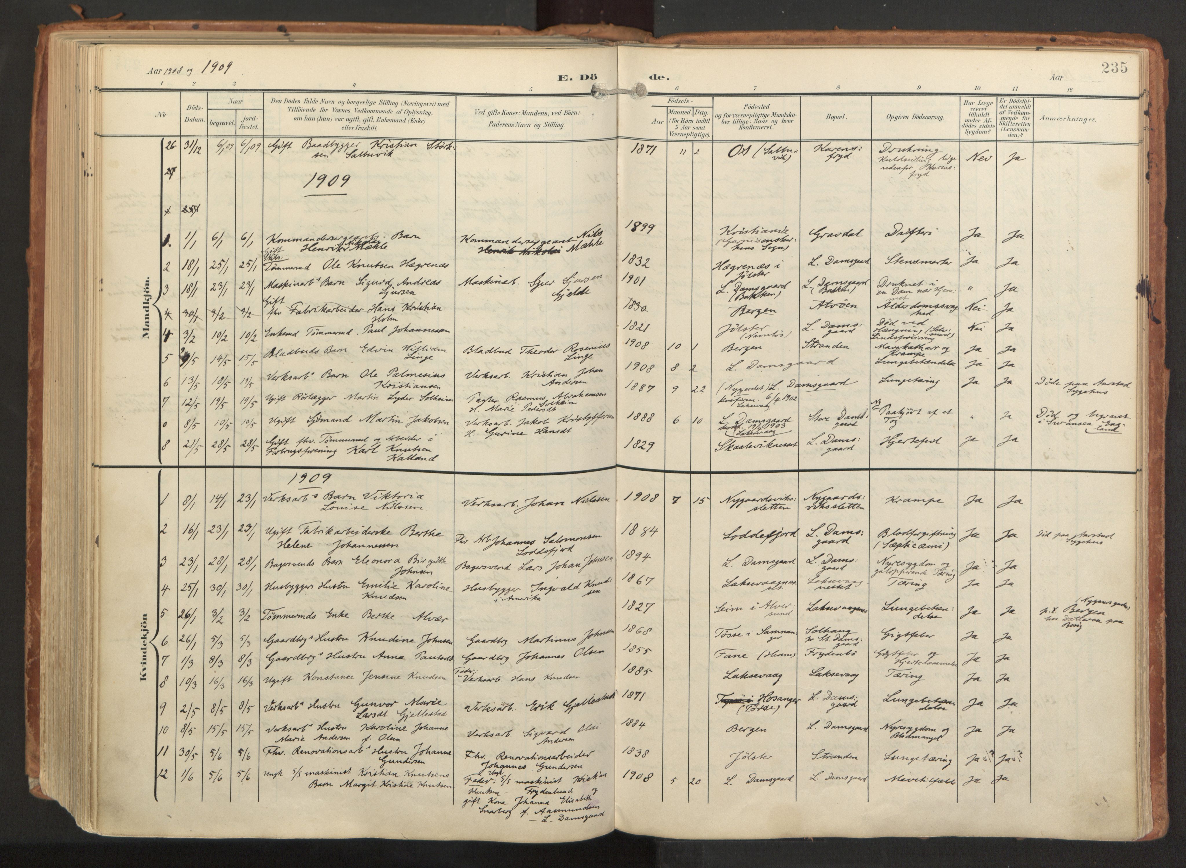 Laksevåg Sokneprestembete, AV/SAB-A-76501/H/Ha/Haa/Haaa/L0001: Parish register (official) no. A 1, 1903-1917, p. 235