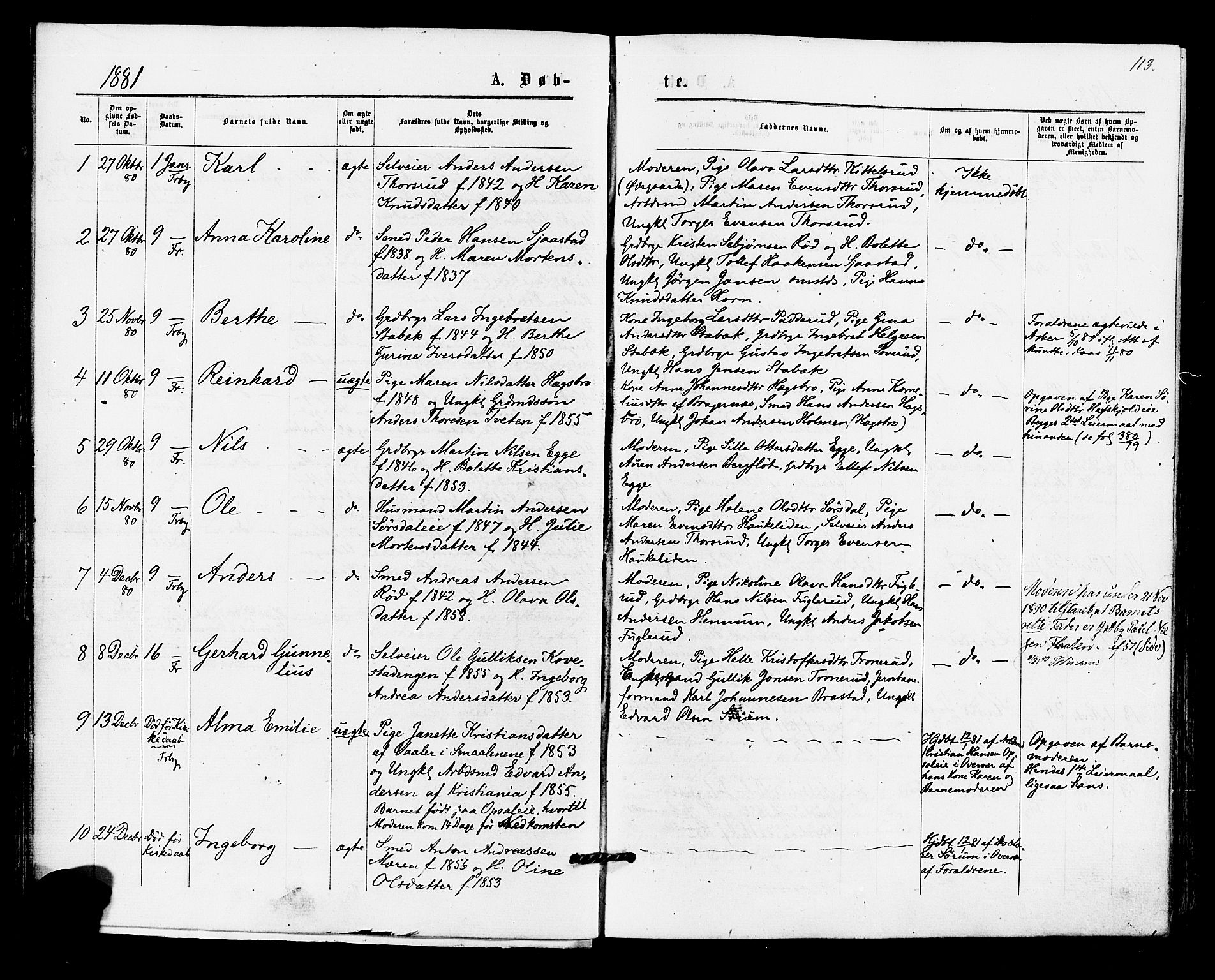 Lier kirkebøker, AV/SAKO-A-230/F/Fa/L0014: Parish register (official) no. I 14, 1875-1882, p. 113