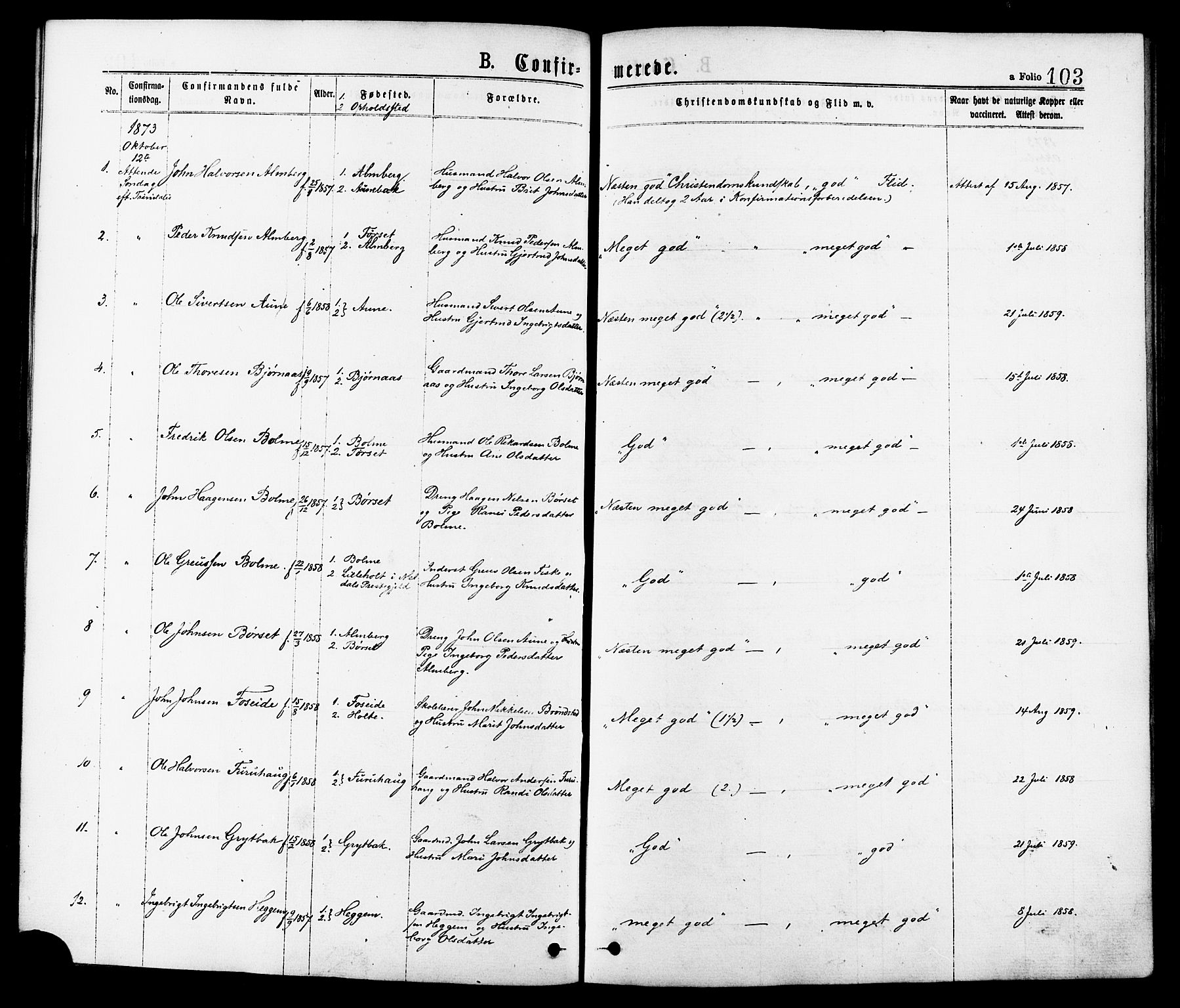 Ministerialprotokoller, klokkerbøker og fødselsregistre - Møre og Romsdal, AV/SAT-A-1454/598/L1068: Parish register (official) no. 598A02, 1872-1881, p. 103