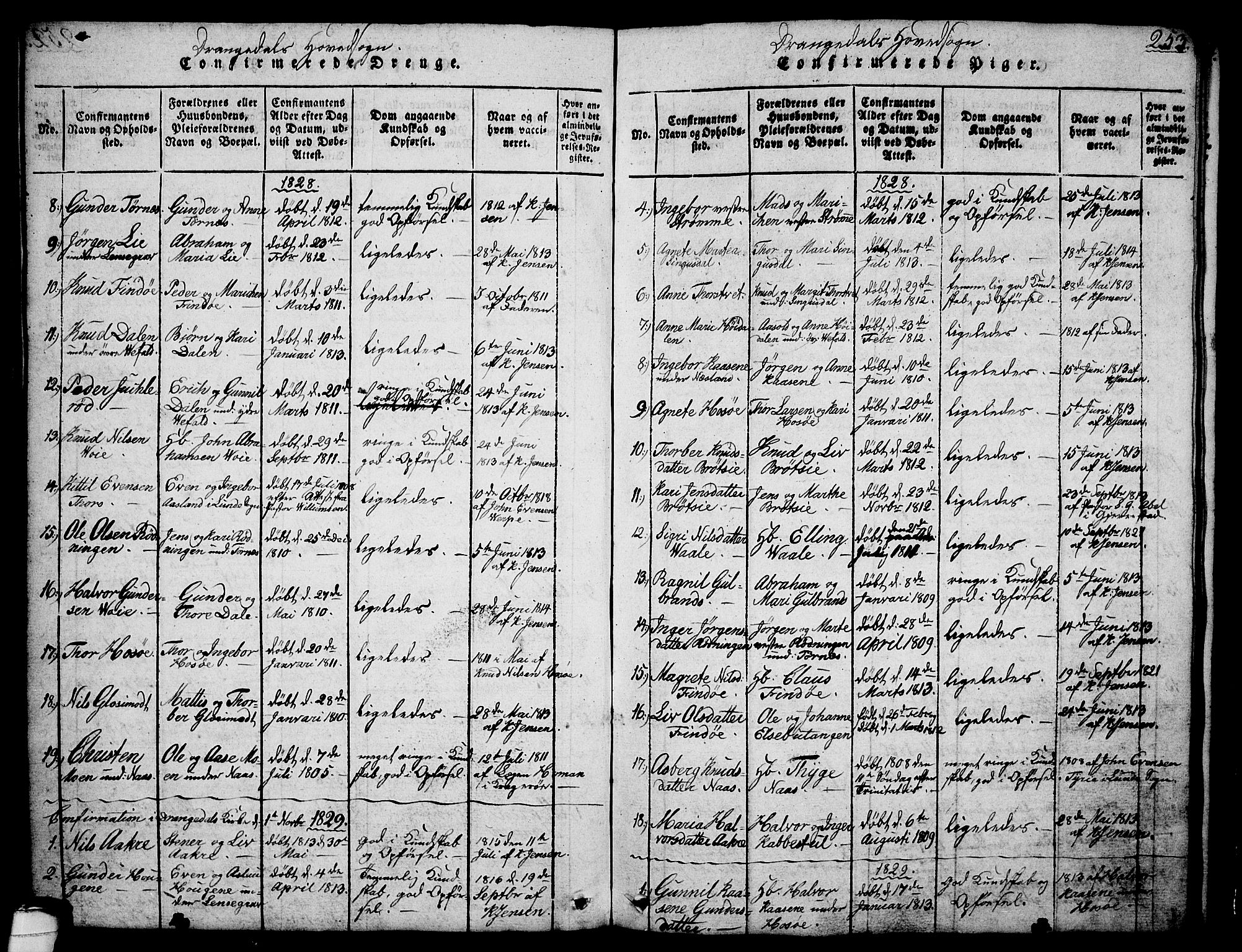 Drangedal kirkebøker, SAKO/A-258/G/Ga/L0001: Parish register (copy) no. I 1 /1, 1814-1856, p. 253