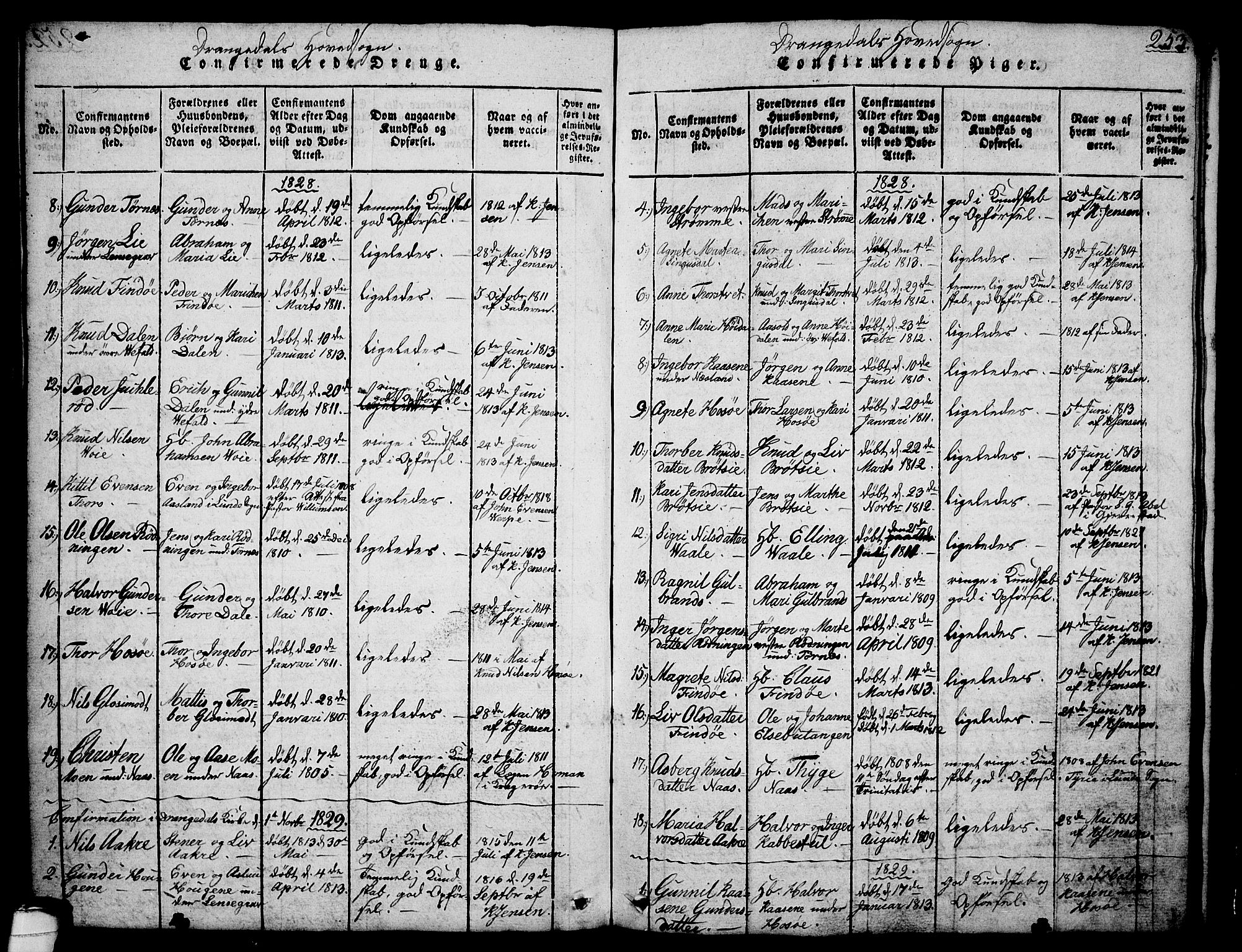 Drangedal kirkebøker, AV/SAKO-A-258/G/Ga/L0001: Parish register (copy) no. I 1 /1, 1814-1856, p. 253
