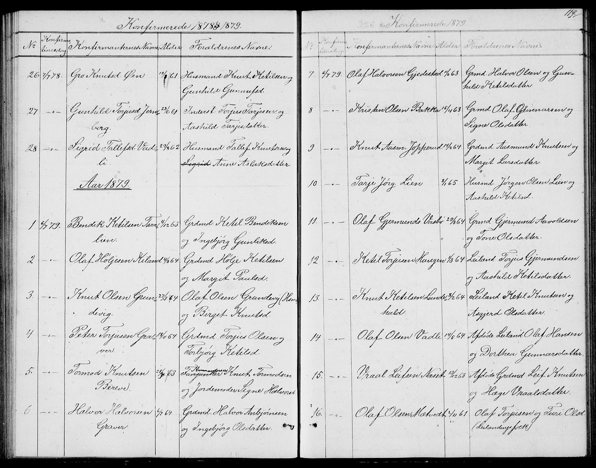 Fyresdal kirkebøker, SAKO/A-263/G/Ga/L0004: Parish register (copy) no. I 4, 1864-1892, p. 119