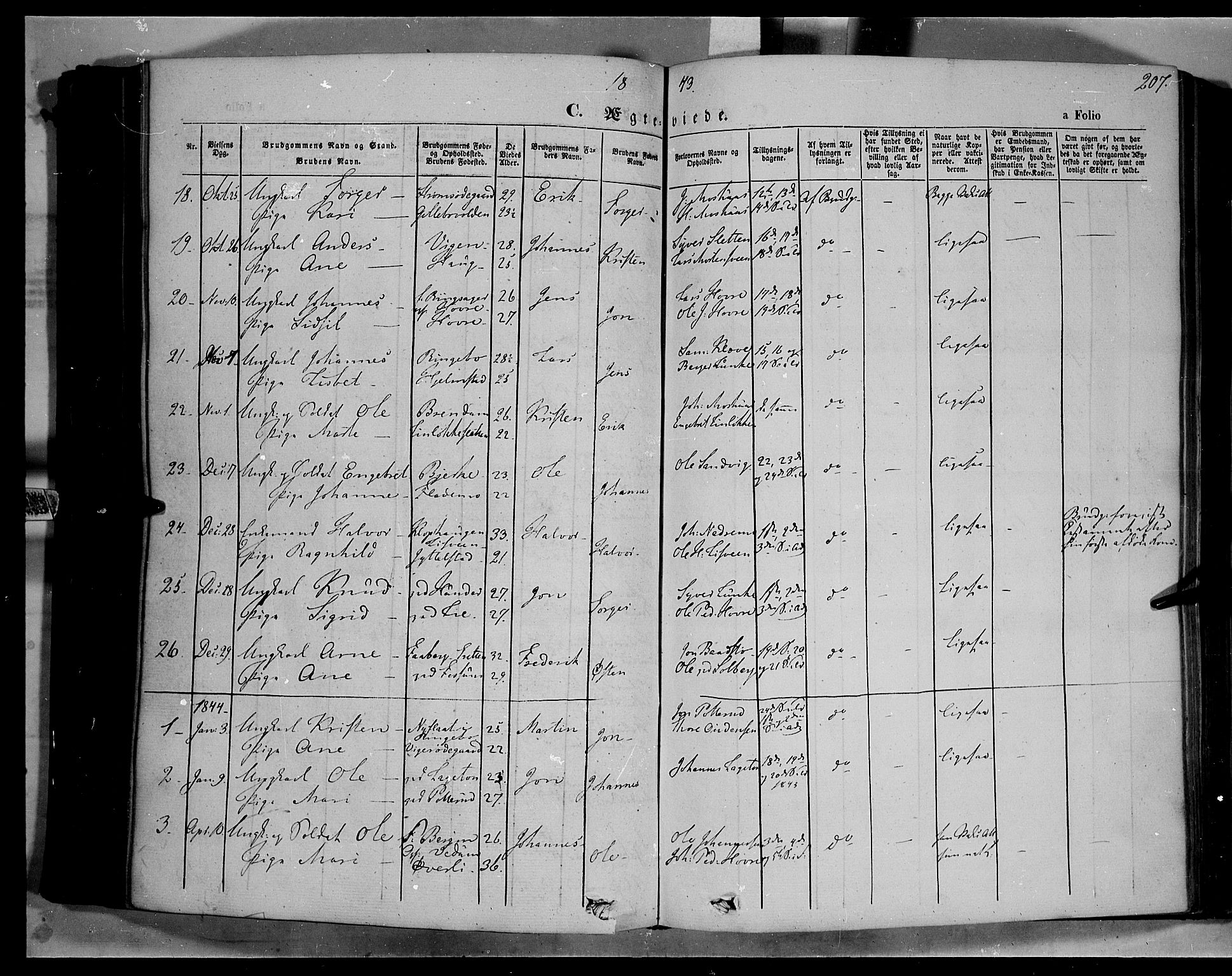Øyer prestekontor, SAH/PREST-084/H/Ha/Haa/L0005: Parish register (official) no. 5, 1842-1857, p. 207