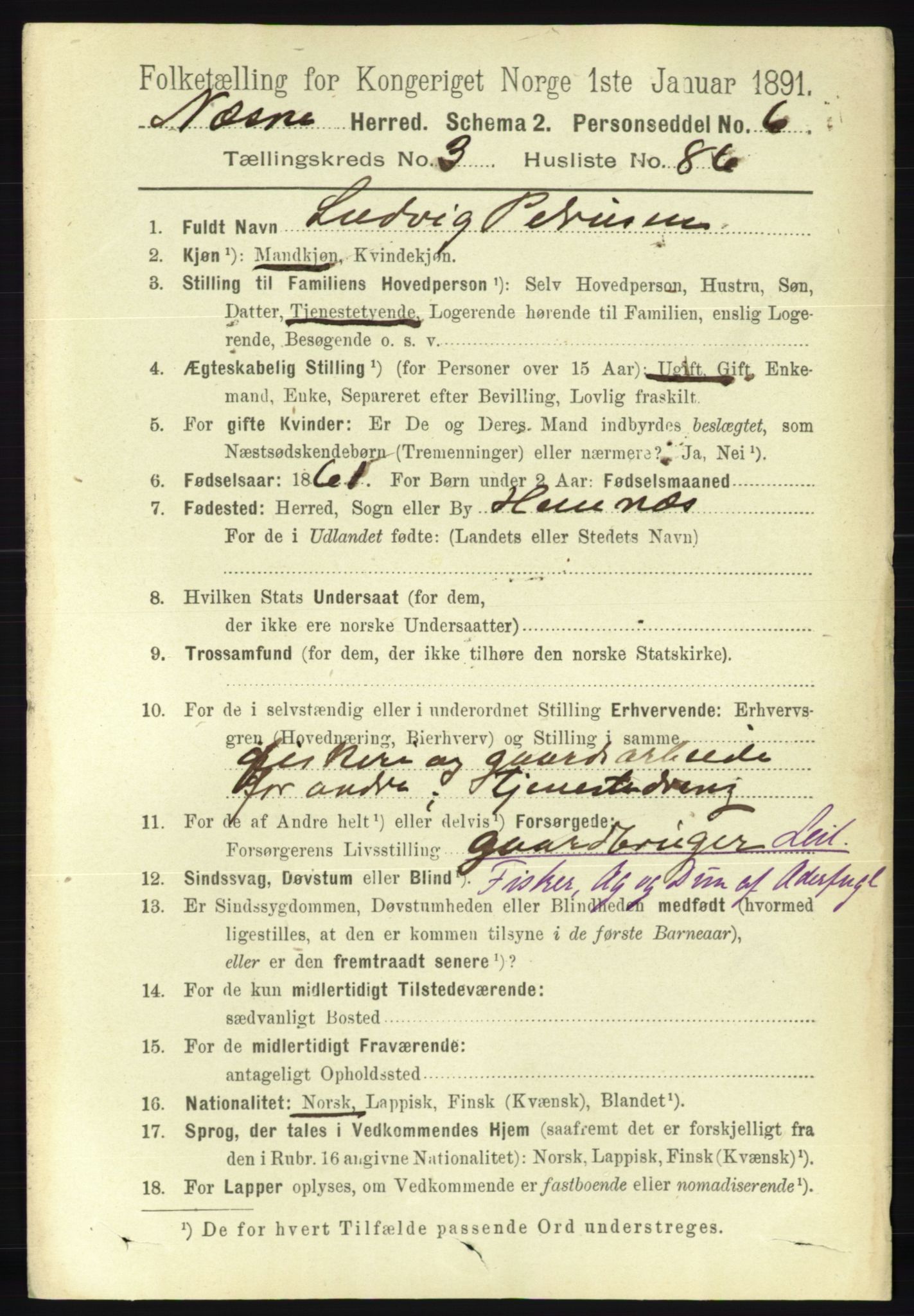 RA, 1891 census for 1828 Nesna, 1891, p. 2078