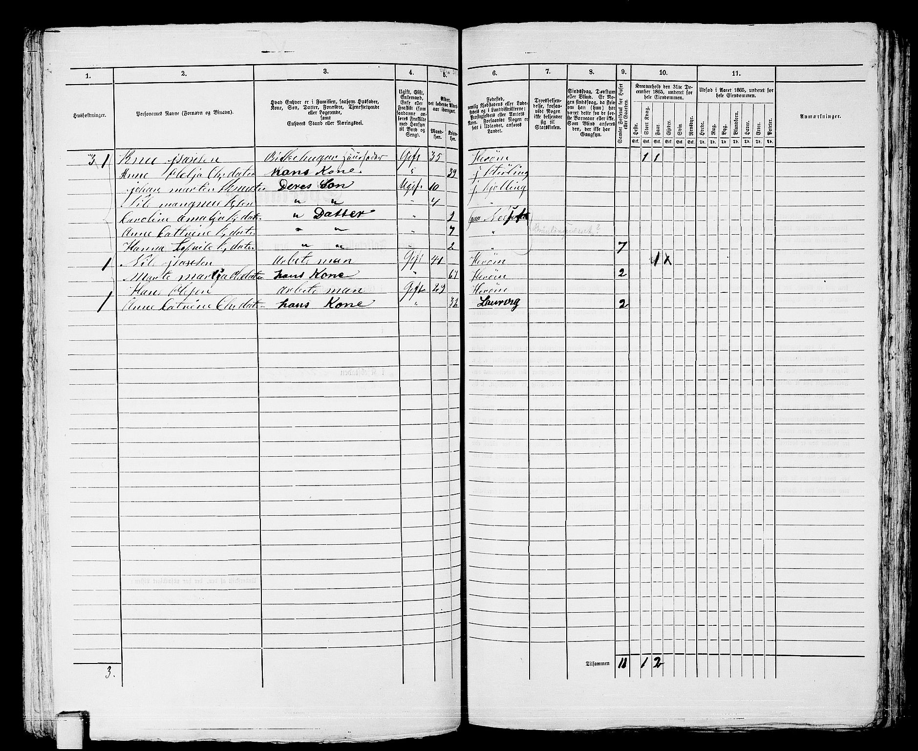 RA, 1865 census for Larvik, 1865, p. 300