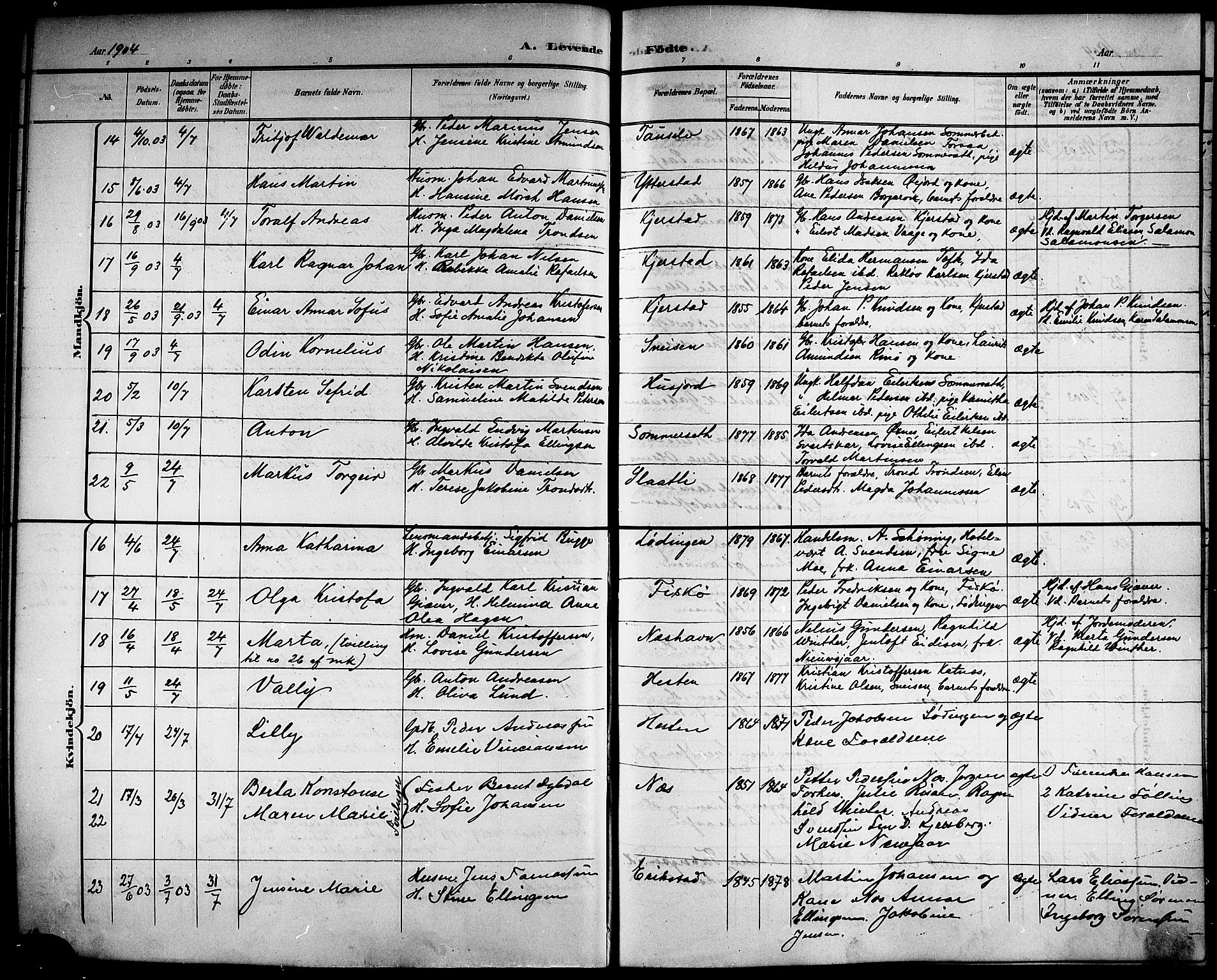 Ministerialprotokoller, klokkerbøker og fødselsregistre - Nordland, AV/SAT-A-1459/872/L1048: Parish register (copy) no. 872C04, 1898-1919