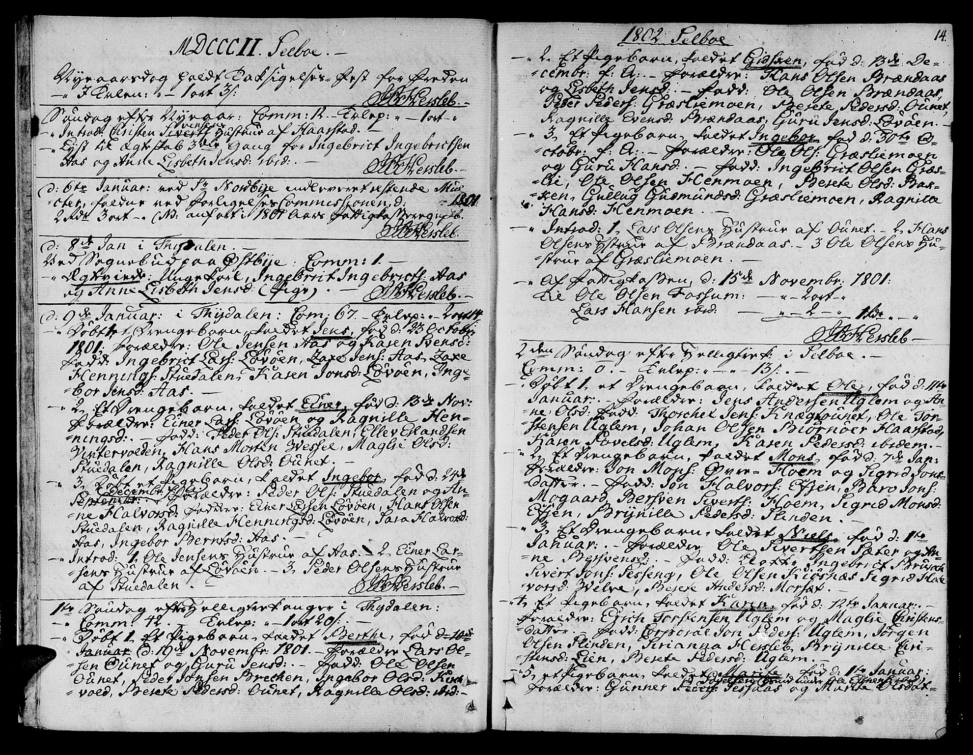 Ministerialprotokoller, klokkerbøker og fødselsregistre - Sør-Trøndelag, SAT/A-1456/695/L1140: Parish register (official) no. 695A03, 1801-1815, p. 14