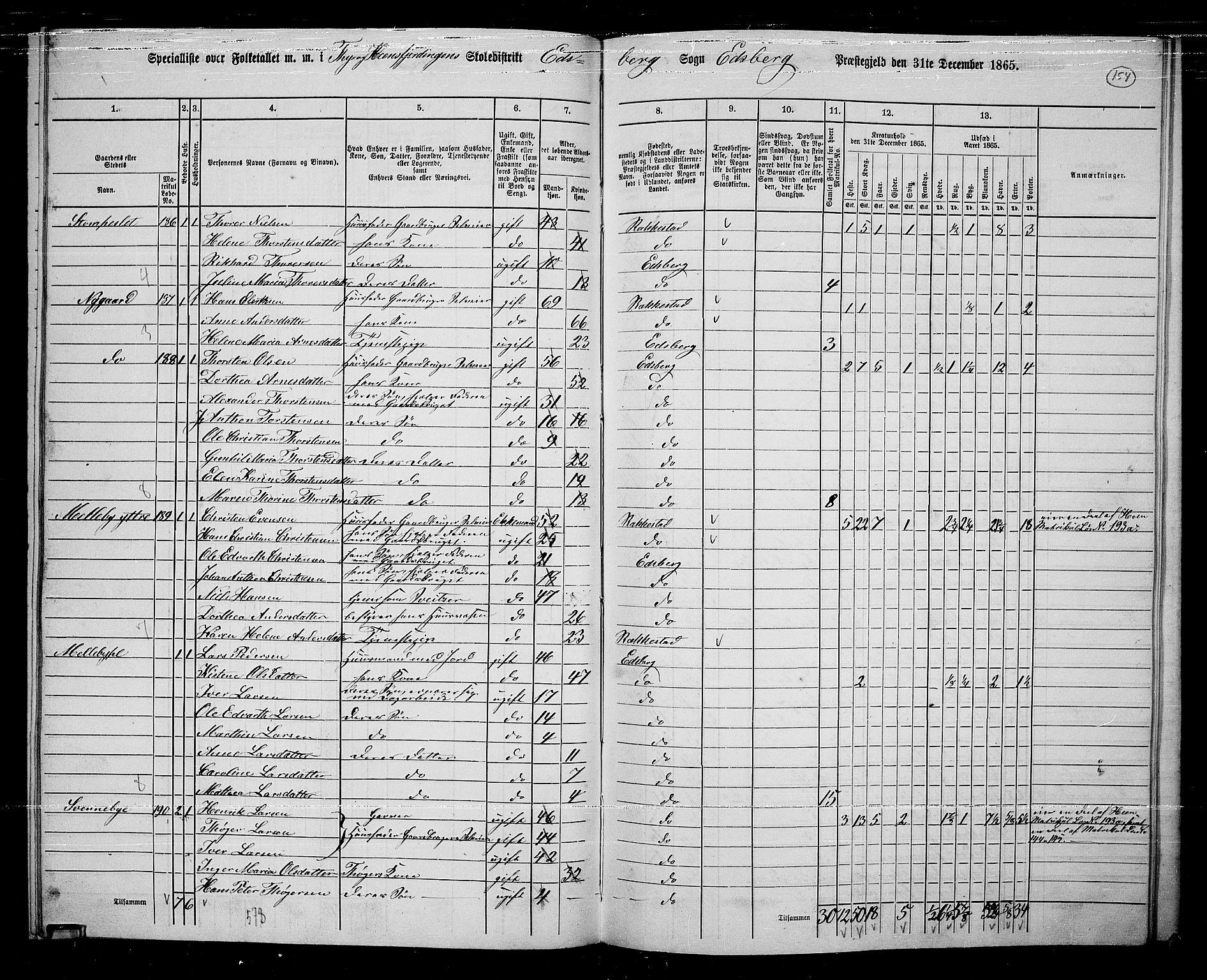 RA, 1865 census for Eidsberg, 1865, p. 141