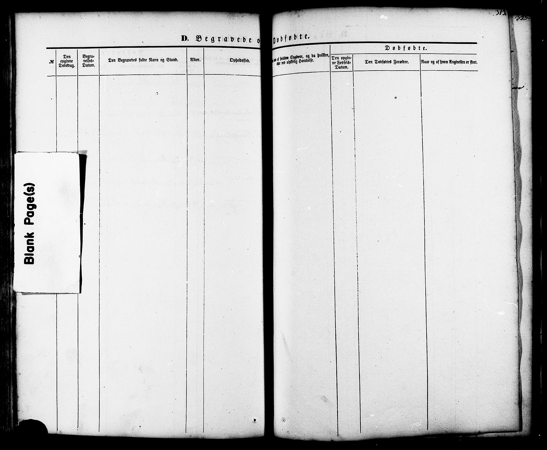 Ministerialprotokoller, klokkerbøker og fødselsregistre - Møre og Romsdal, AV/SAT-A-1454/539/L0529: Parish register (official) no. 539A02, 1848-1872, p. 313