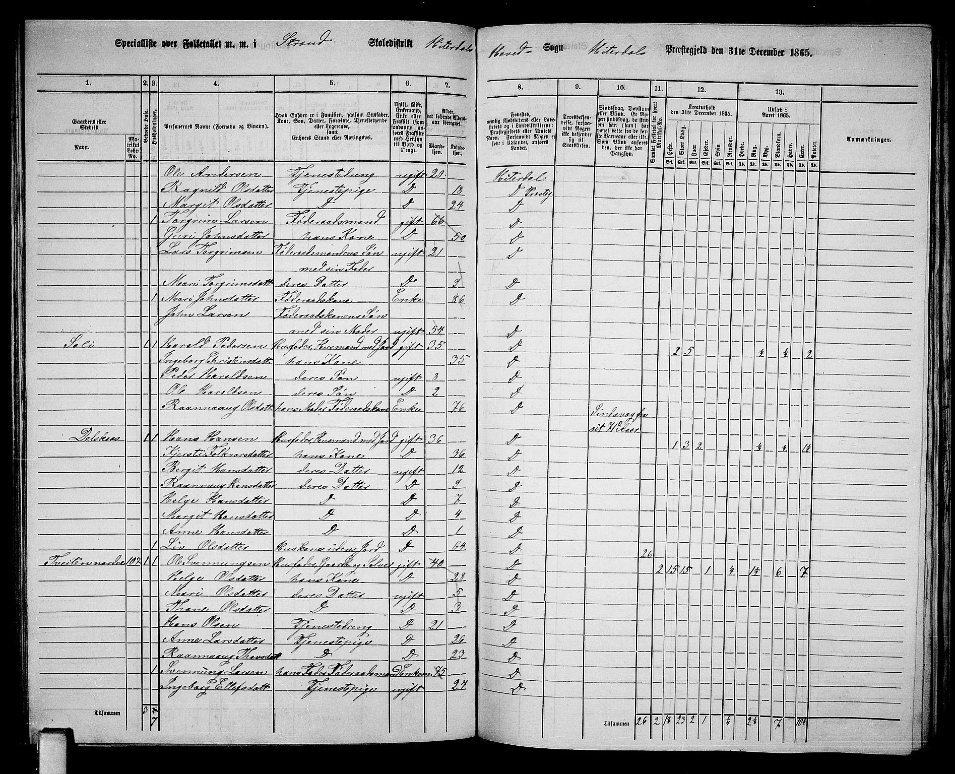 RA, 1865 census for Heddal, 1865, p. 96