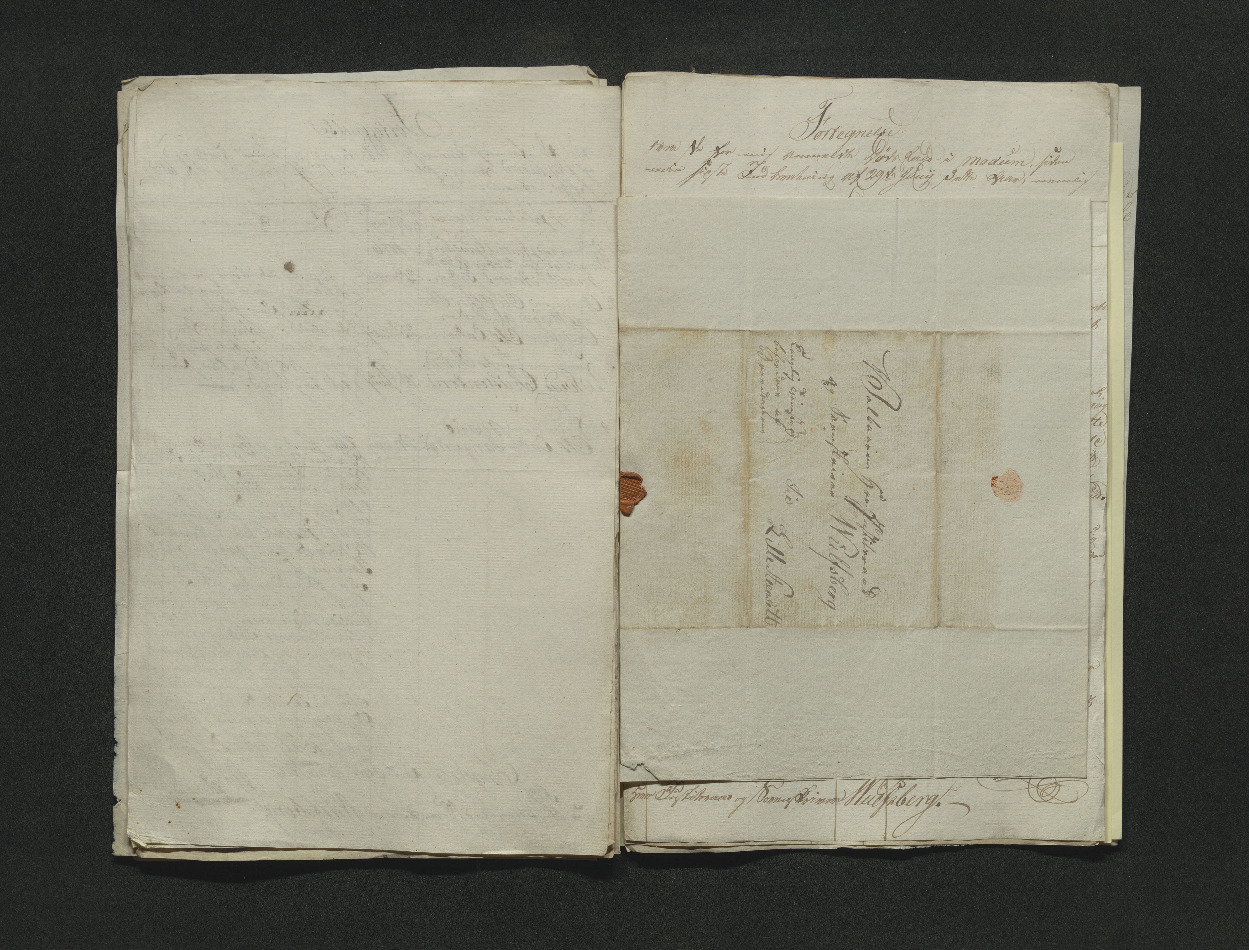 Eiker, Modum og Sigdal sorenskriveri, AV/SAKO-A-123/H/Ha/Hab/L0001: Dødsfallsmeldinger, 1812-1822, p. 180