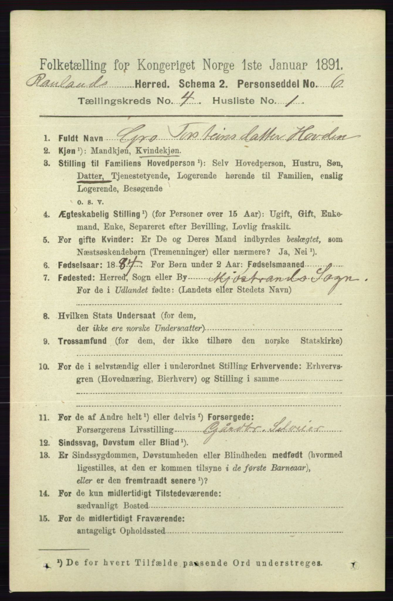 RA, 1891 census for 0835 Rauland, 1891, p. 1017