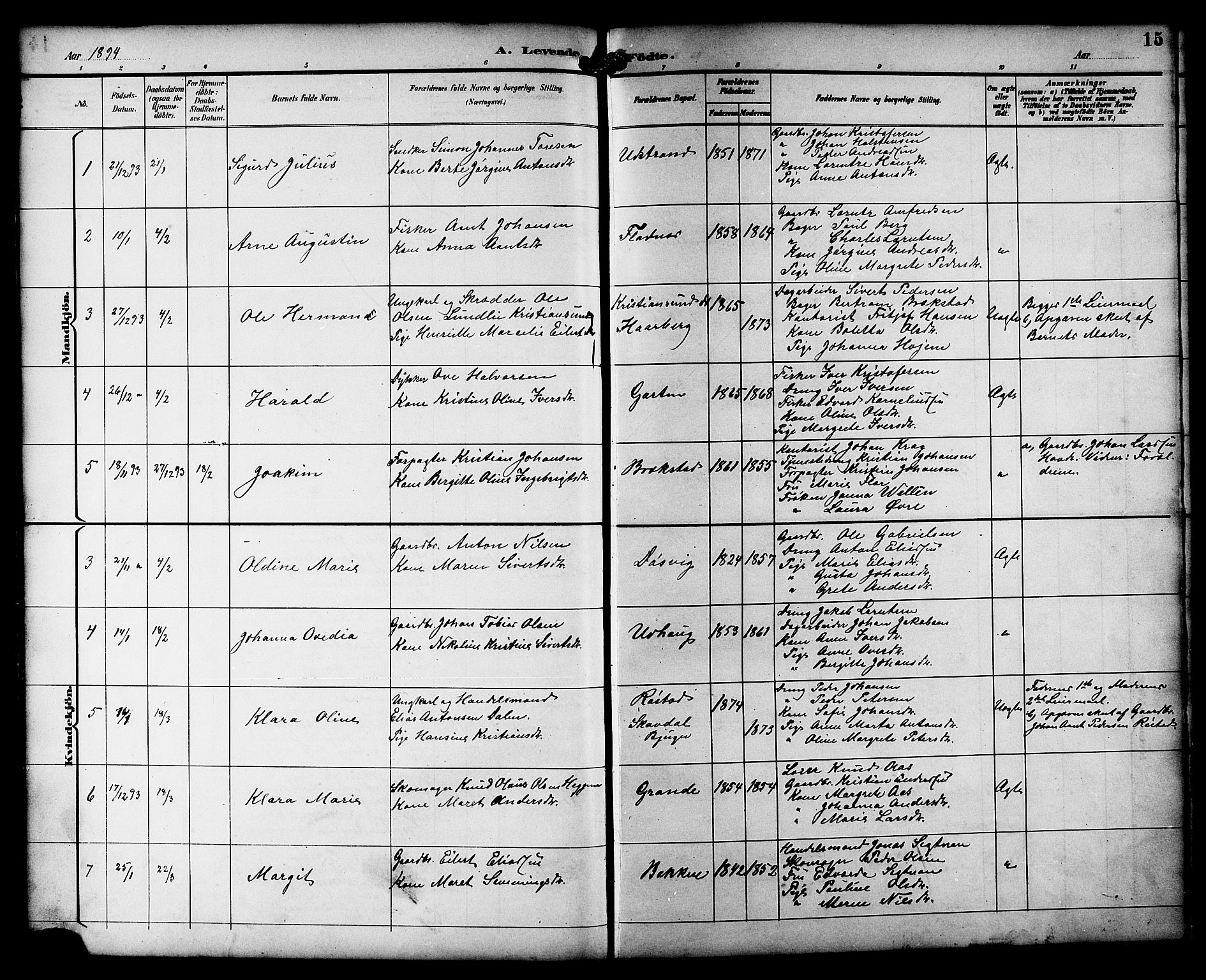 Ministerialprotokoller, klokkerbøker og fødselsregistre - Sør-Trøndelag, SAT/A-1456/659/L0746: Parish register (copy) no. 659C03, 1893-1912, p. 15