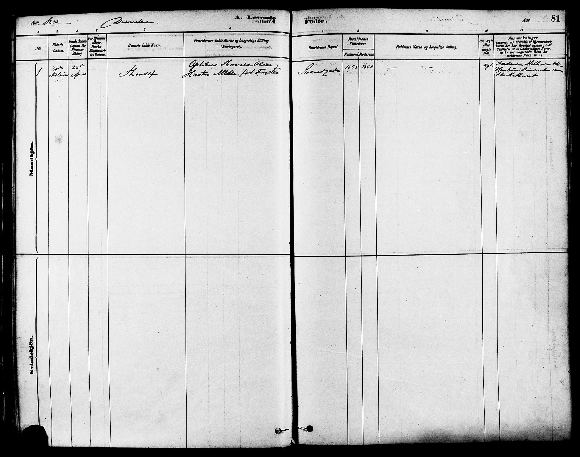 Haugesund sokneprestkontor, SAST/A -101863/H/Ha/Haa/L0003: Parish register (official) no. A 3, 1885-1890, p. 81
