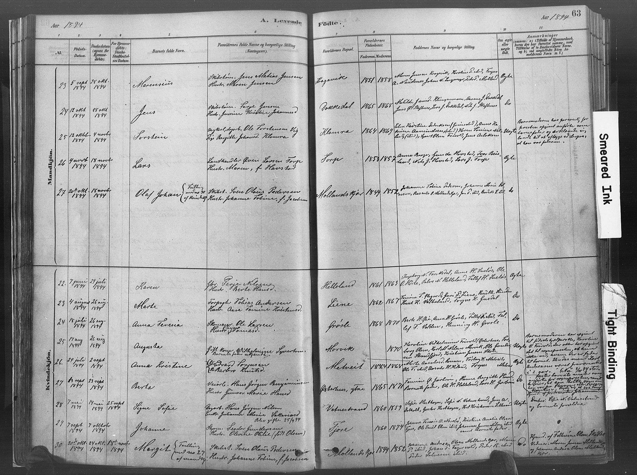 Hommedal sokneprestkontor, SAK/1111-0023/F/Fa/Fab/L0006: Parish register (official) no. A 6, 1878-1897, p. 63