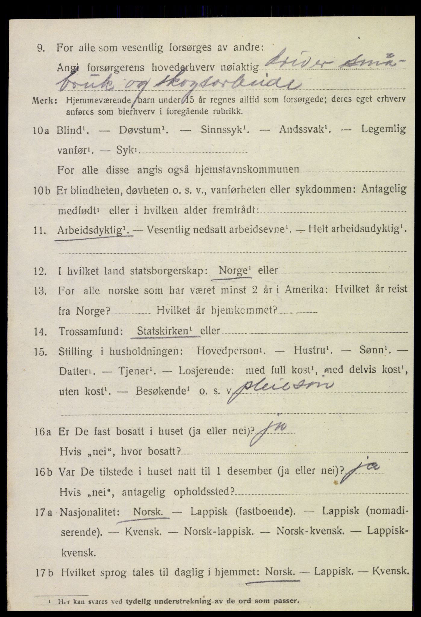 SAT, 1920 census for Stjørdal, 1920, p. 1293