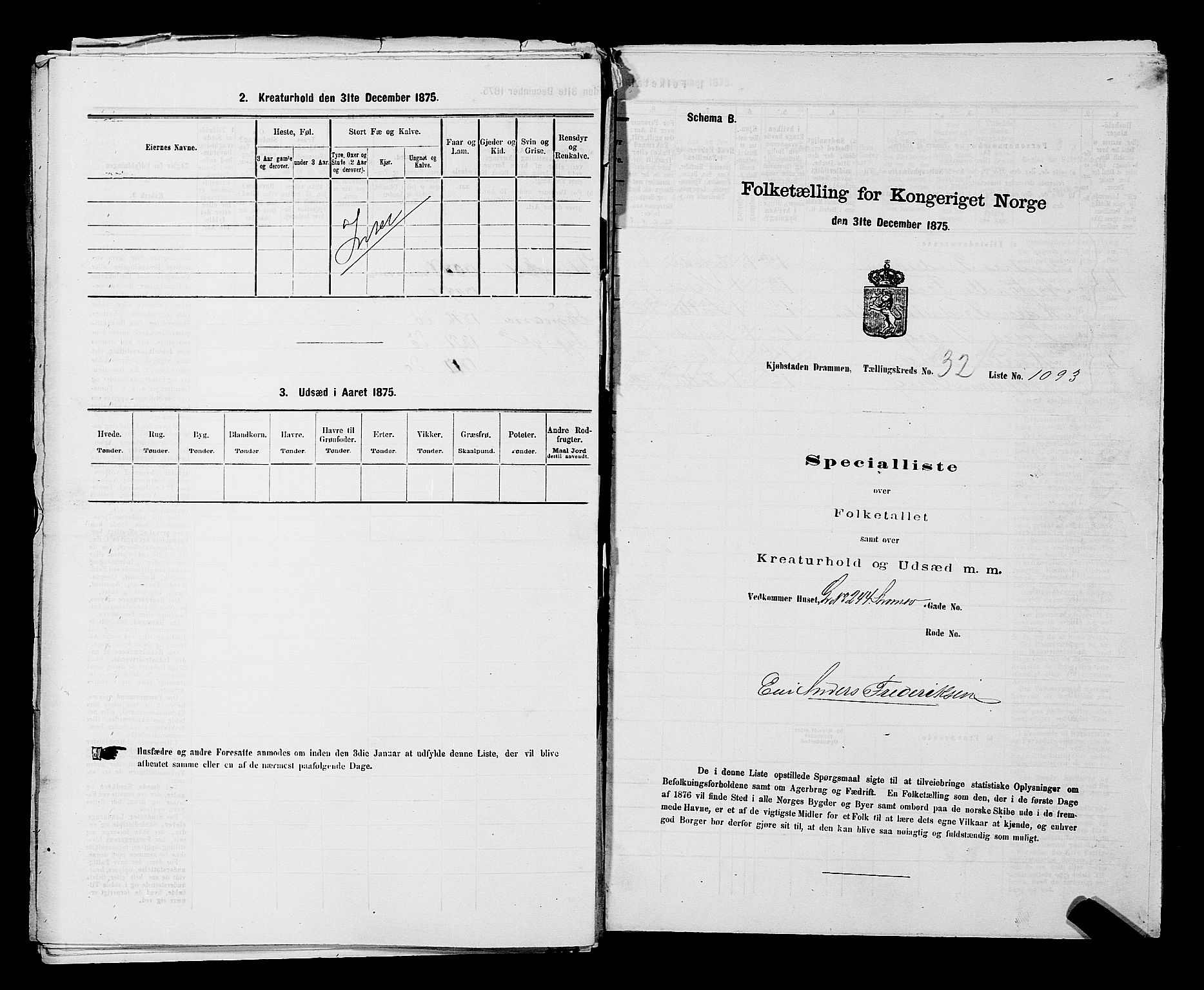 SAKO, 1875 census for 0602 Drammen, 1875, p. 2919