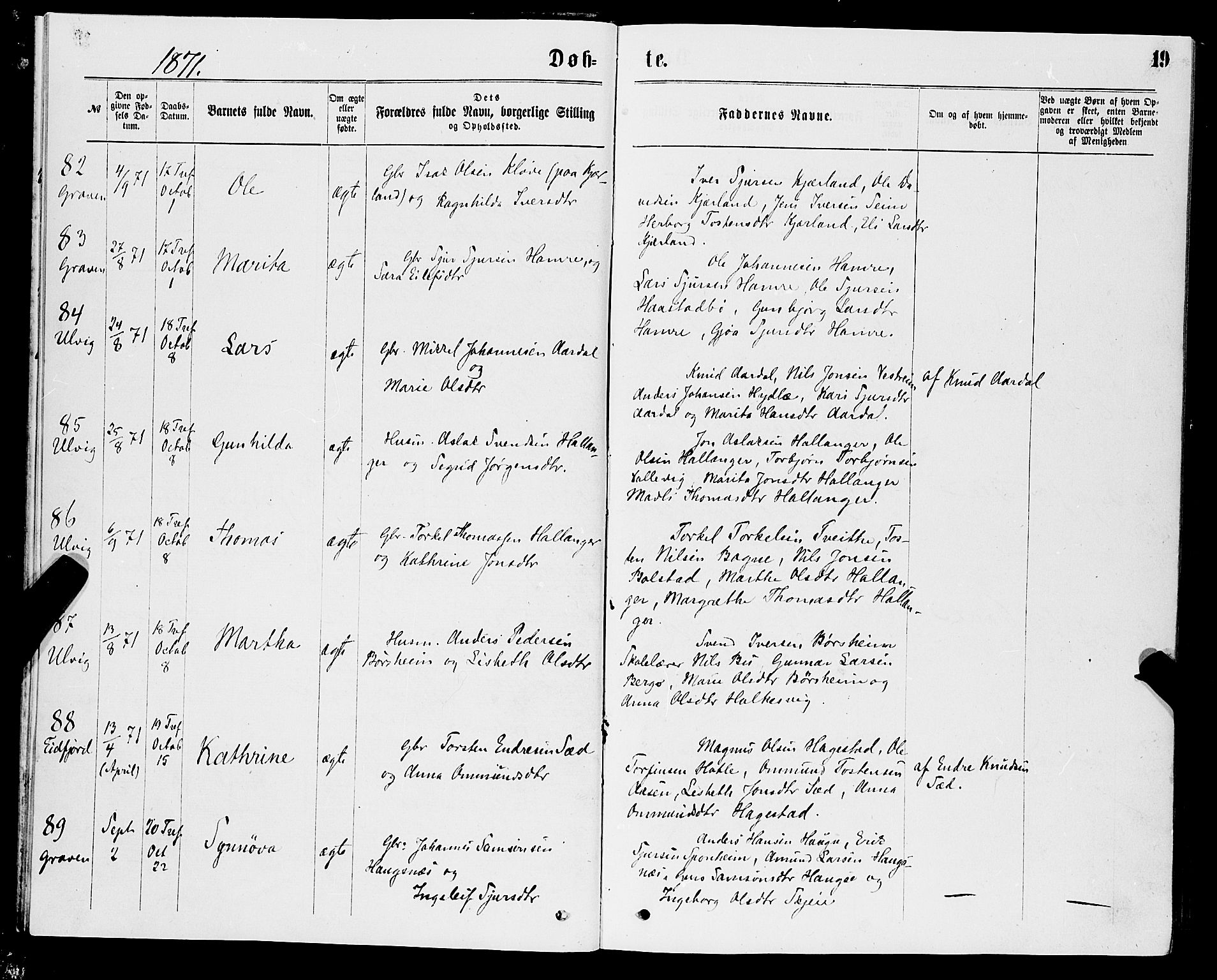 Ulvik sokneprestembete, AV/SAB-A-78801/H/Haa: Parish register (official) no. A 16, 1870-1878, p. 19