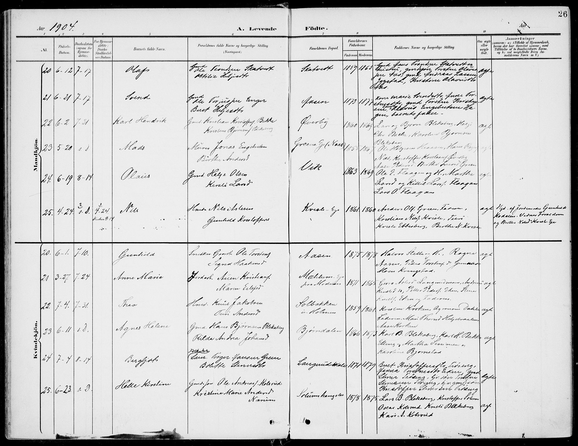 Sigdal kirkebøker, AV/SAKO-A-245/F/Fb/L0002: Parish register (official) no. II 2, 1901-1914, p. 26