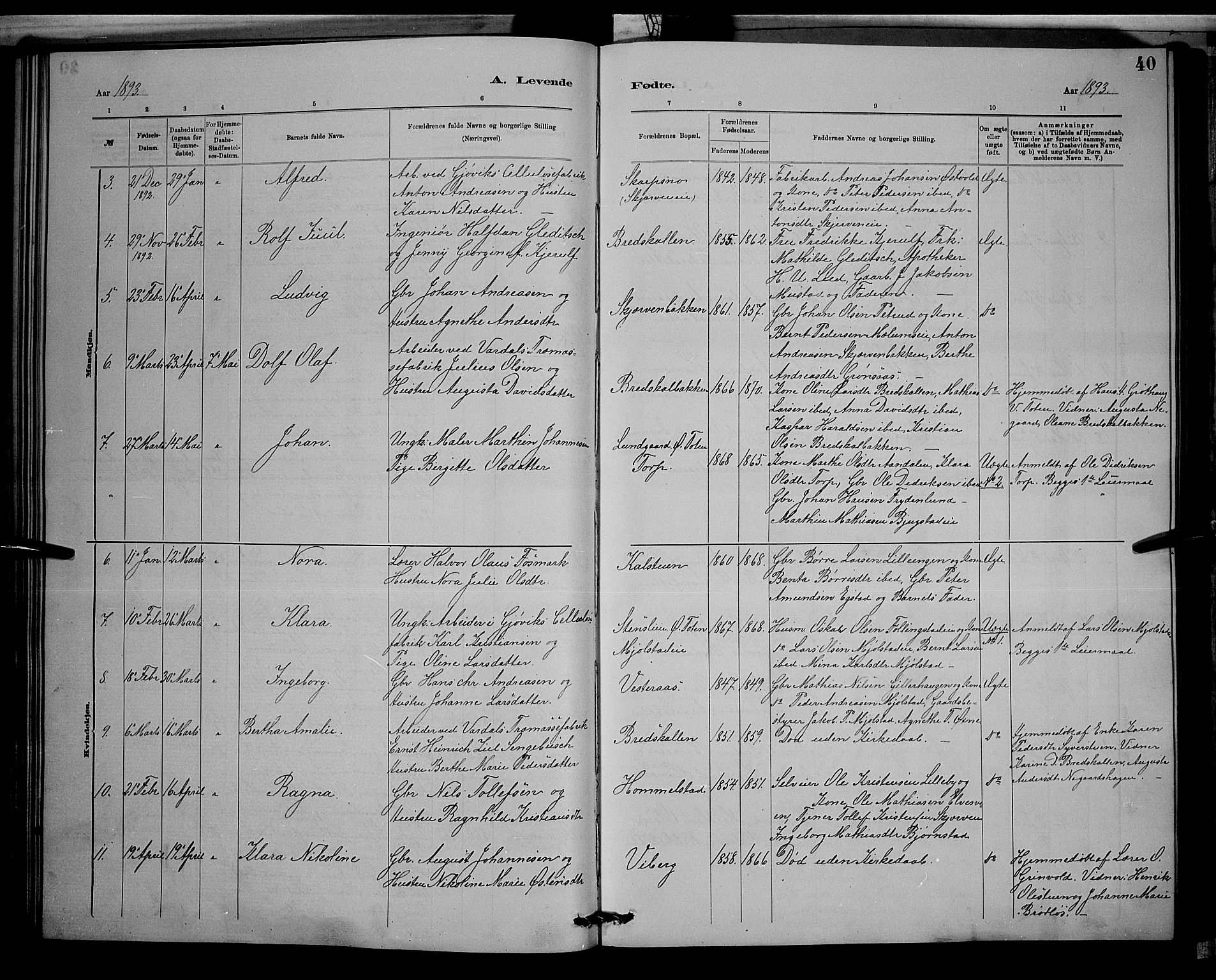 Vardal prestekontor, SAH/PREST-100/H/Ha/Hab/L0008: Parish register (copy) no. 8, 1881-1898, p. 40