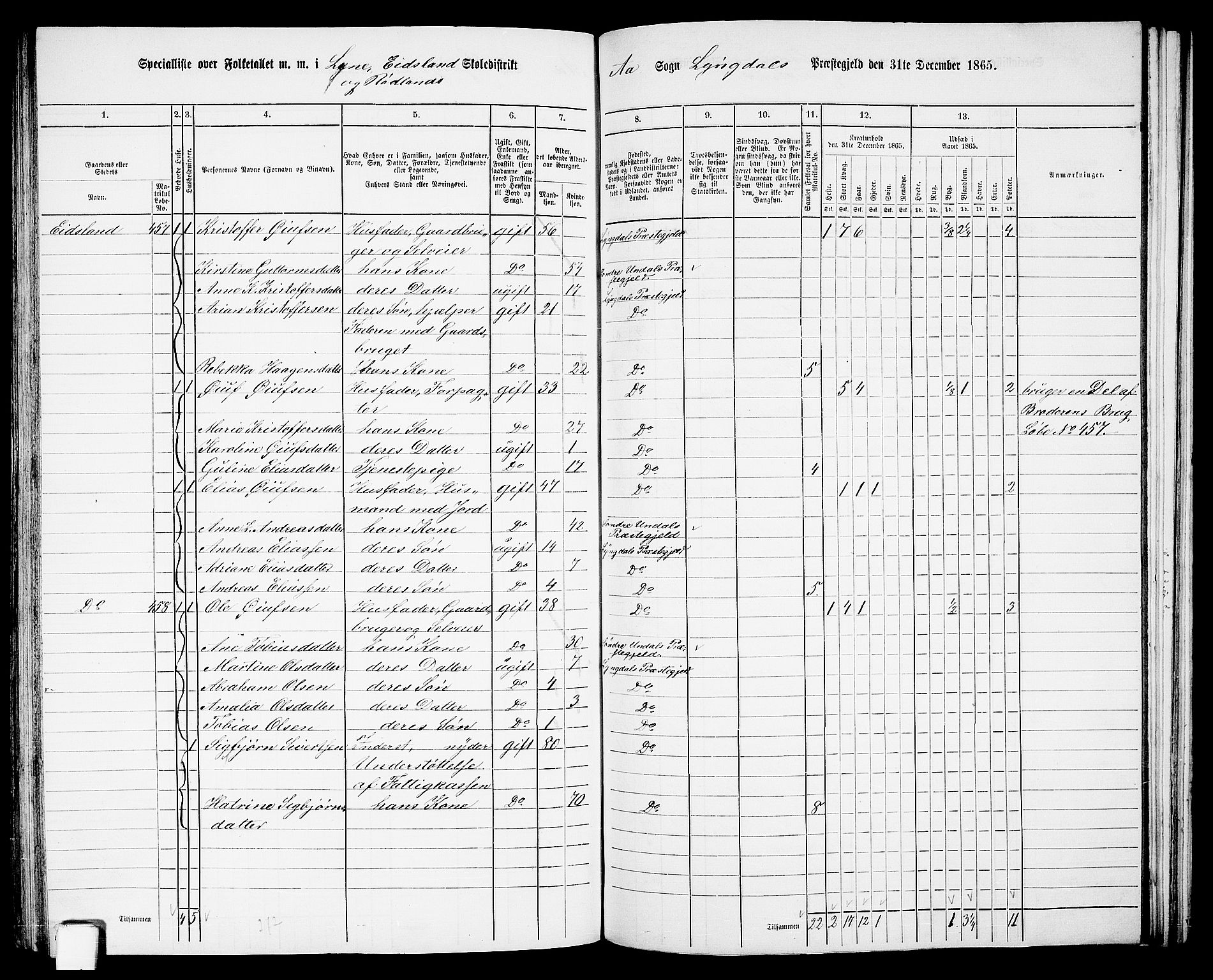 RA, 1865 census for Lyngdal, 1865, p. 187