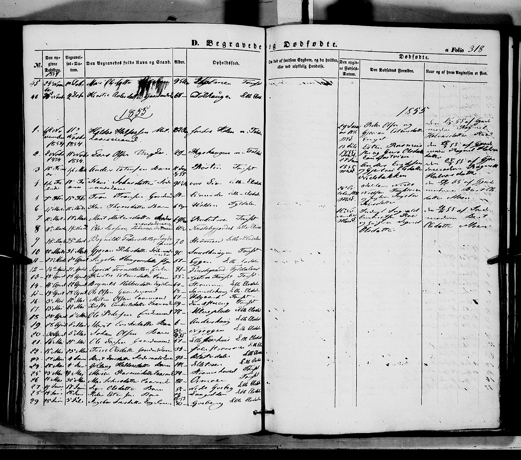 Tynset prestekontor, SAH/PREST-058/H/Ha/Haa/L0020: Parish register (official) no. 20, 1848-1862, p. 318