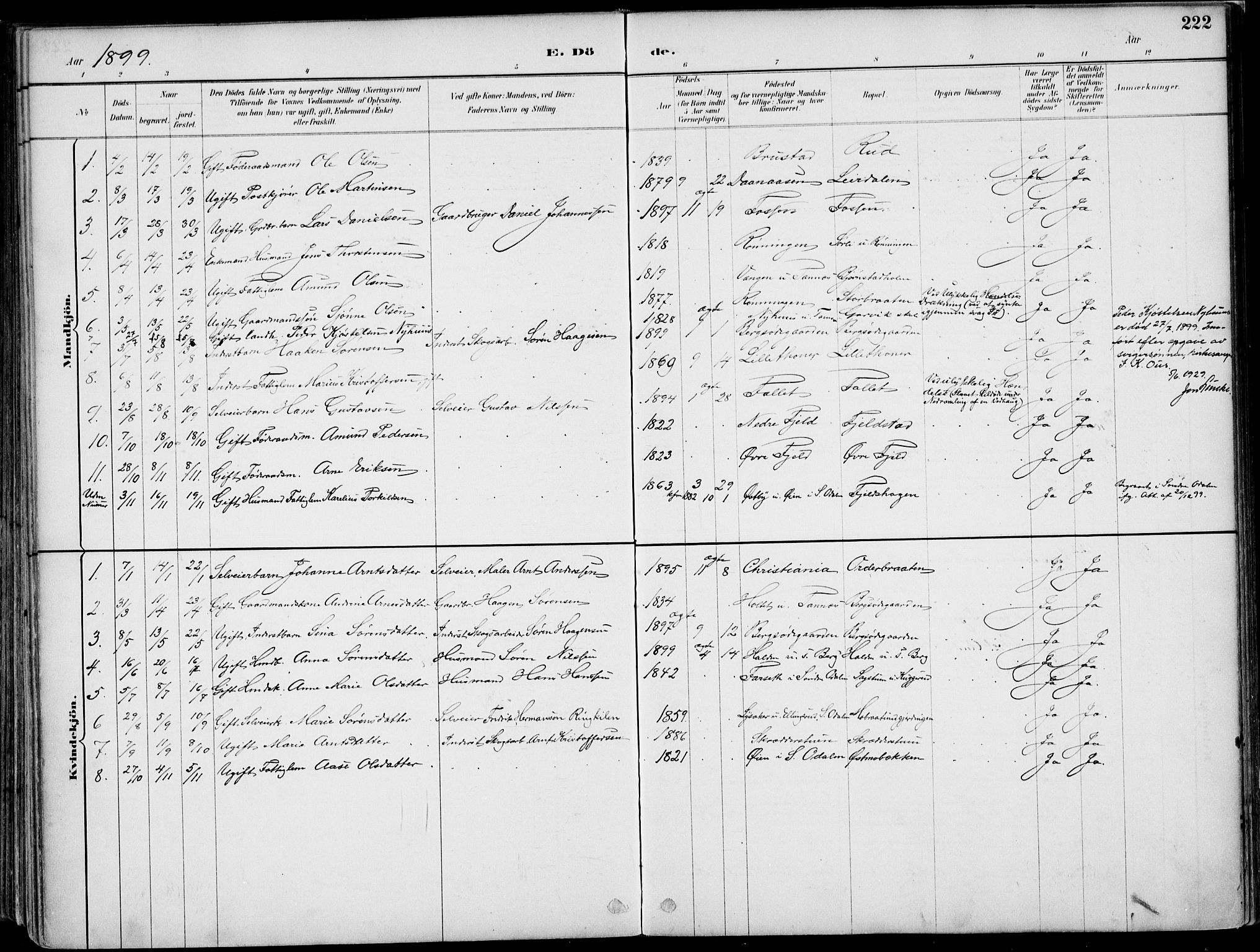 Nord-Odal prestekontor, AV/SAH-PREST-032/H/Ha/Haa/L0008: Parish register (official) no. 8, 1886-1901, p. 222