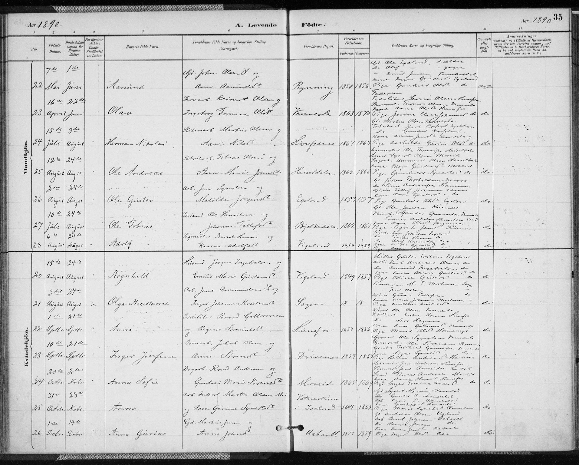 Vennesla sokneprestkontor, SAK/1111-0045/Fa/Fab/L0004: Parish register (official) no. A 4, 1884-1896, p. 35