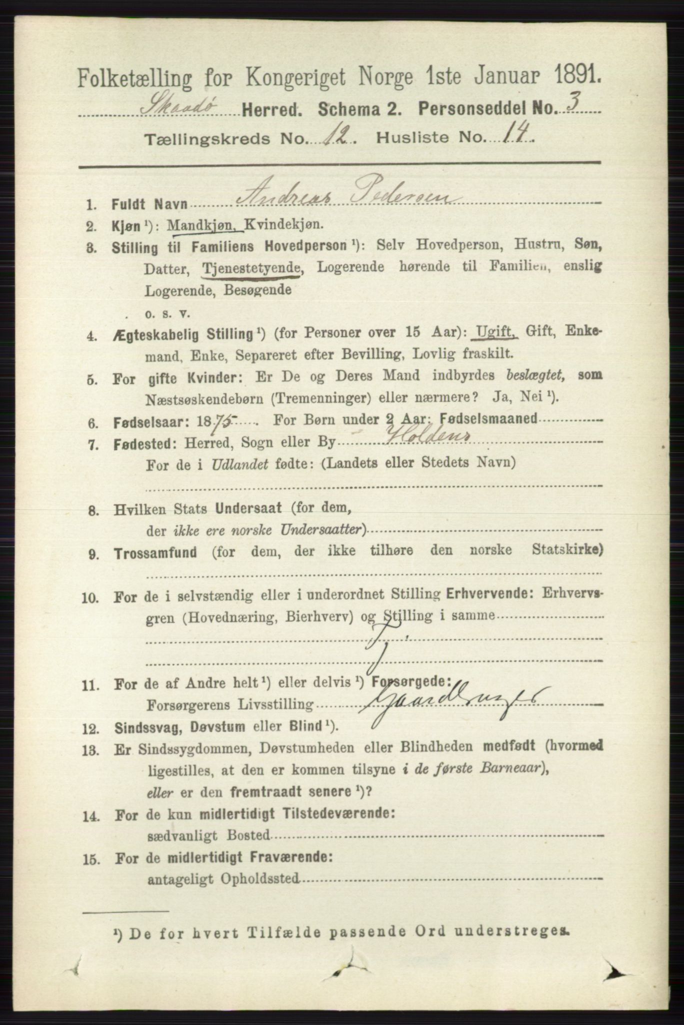 RA, 1891 census for 0815 Skåtøy, 1891, p. 4379