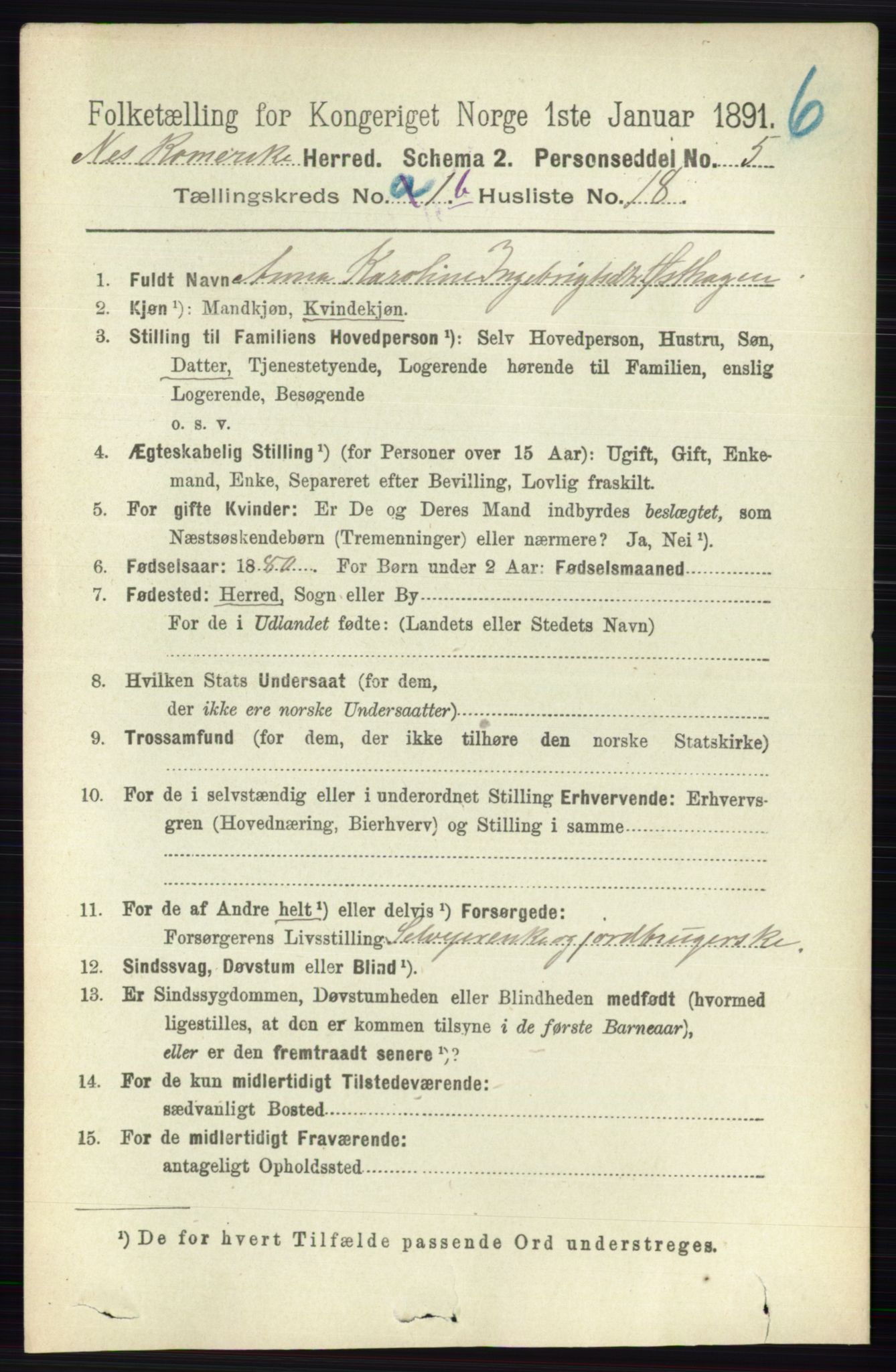 RA, 1891 census for 0236 Nes, 1891, p. 824