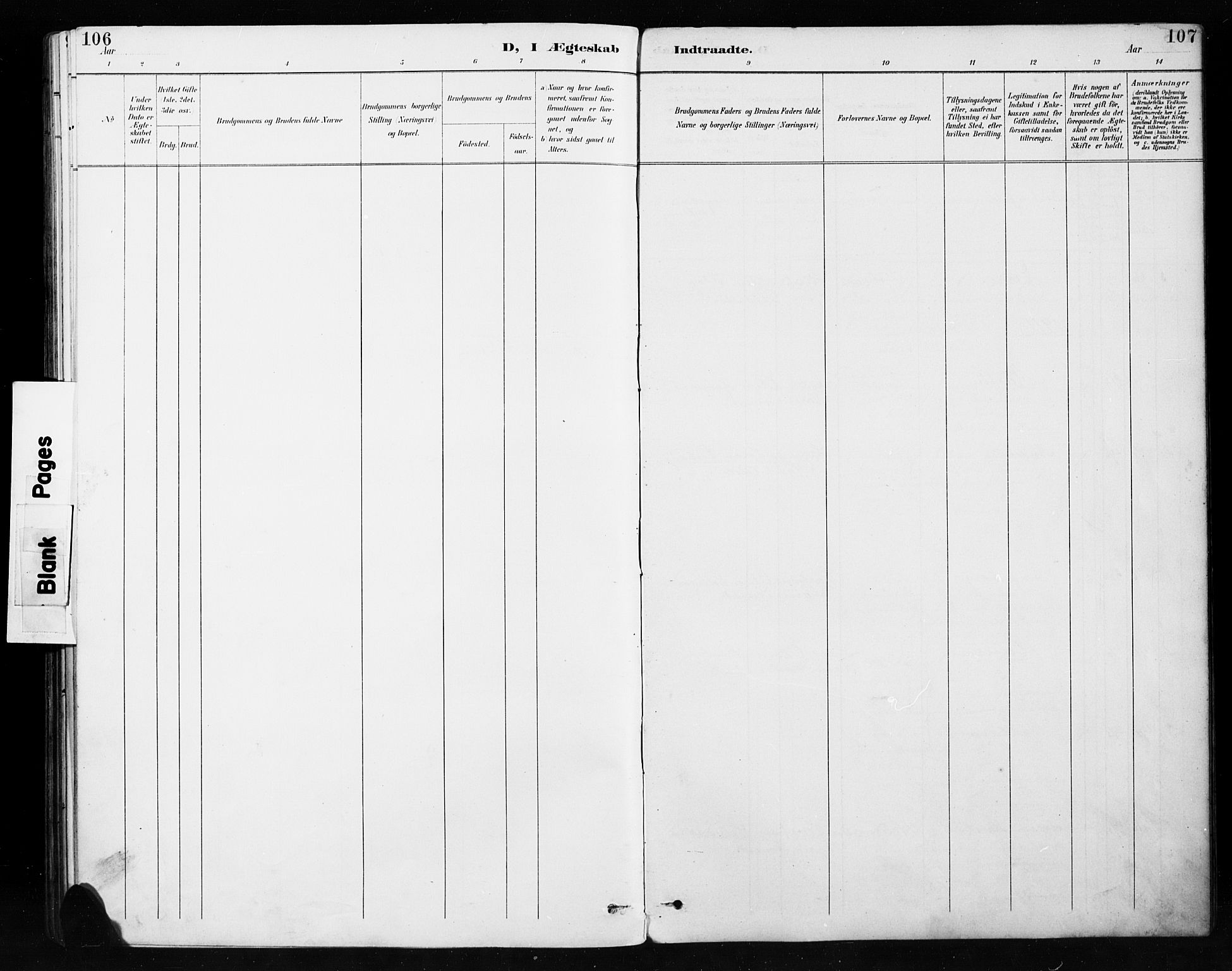 Etnedal prestekontor, SAH/PREST-130/H/Ha/Hab/Habb/L0001: Parish register (copy) no. II 1, 1894-1911, p. 106-107