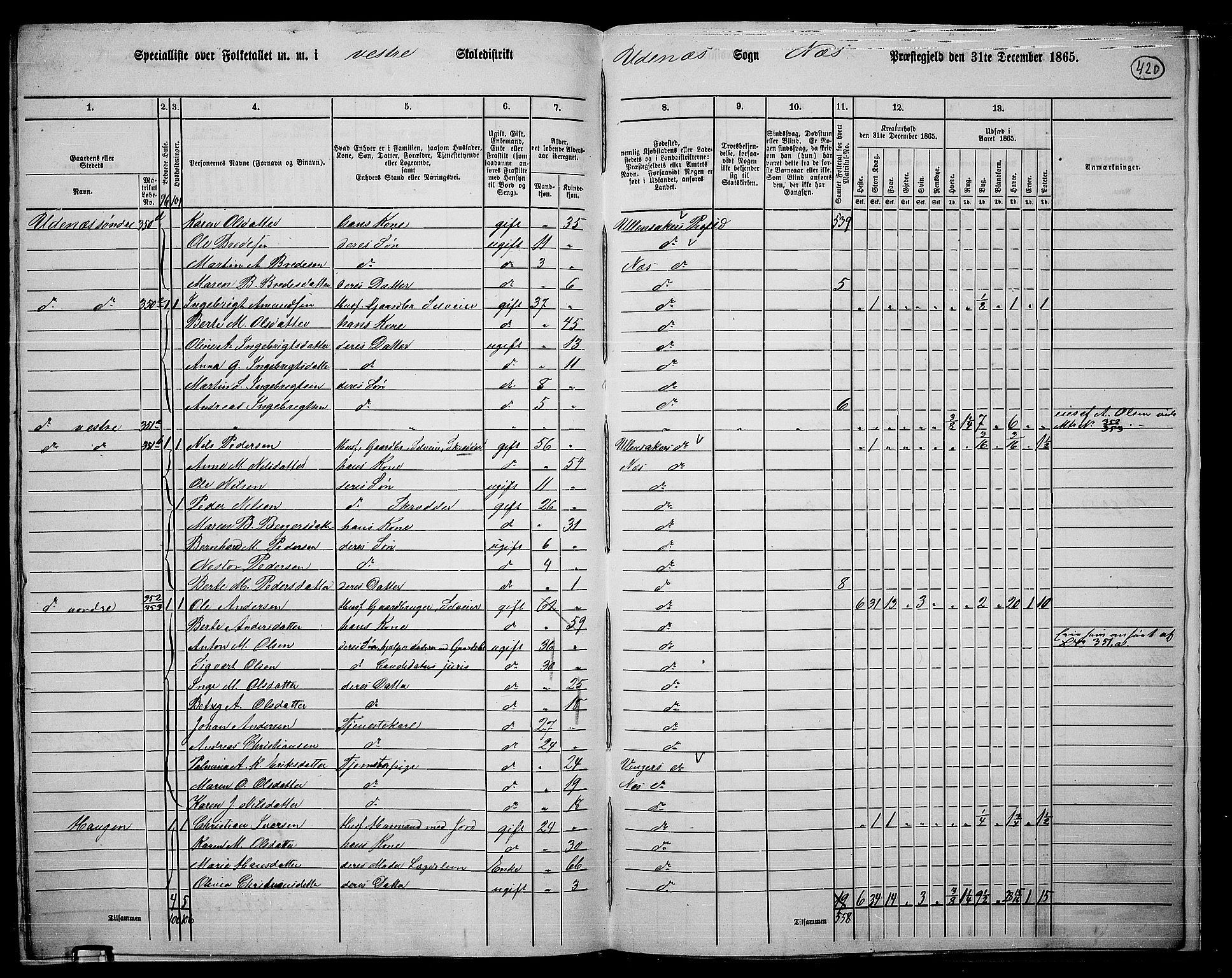 RA, 1865 census for Nes, 1865, p. 386