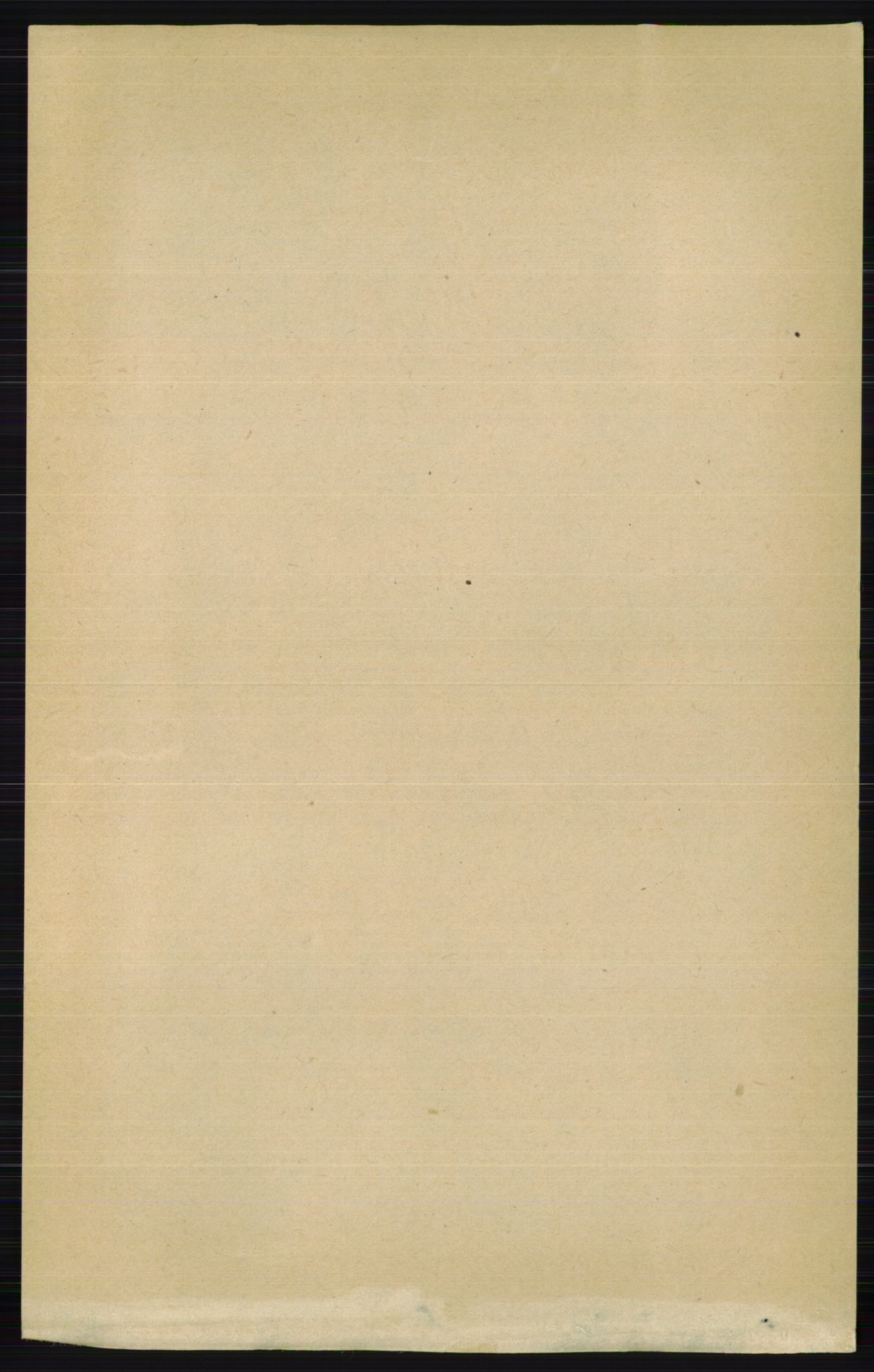RA, 1891 census for 0412 Ringsaker, 1891, p. 817
